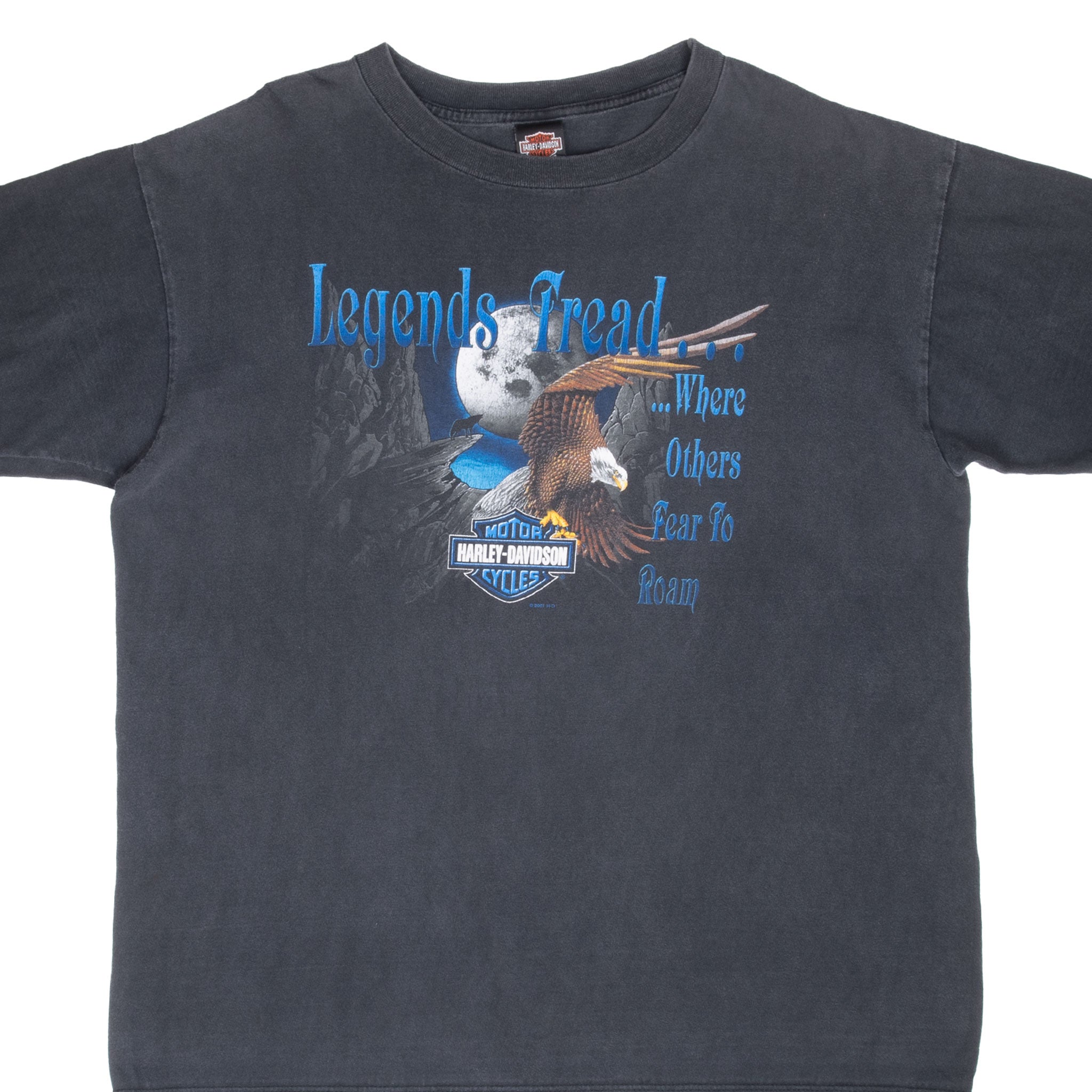 Vintage Harley Davidson Duluth Mn Tee Shirt 2001 Size XL Made In Usa