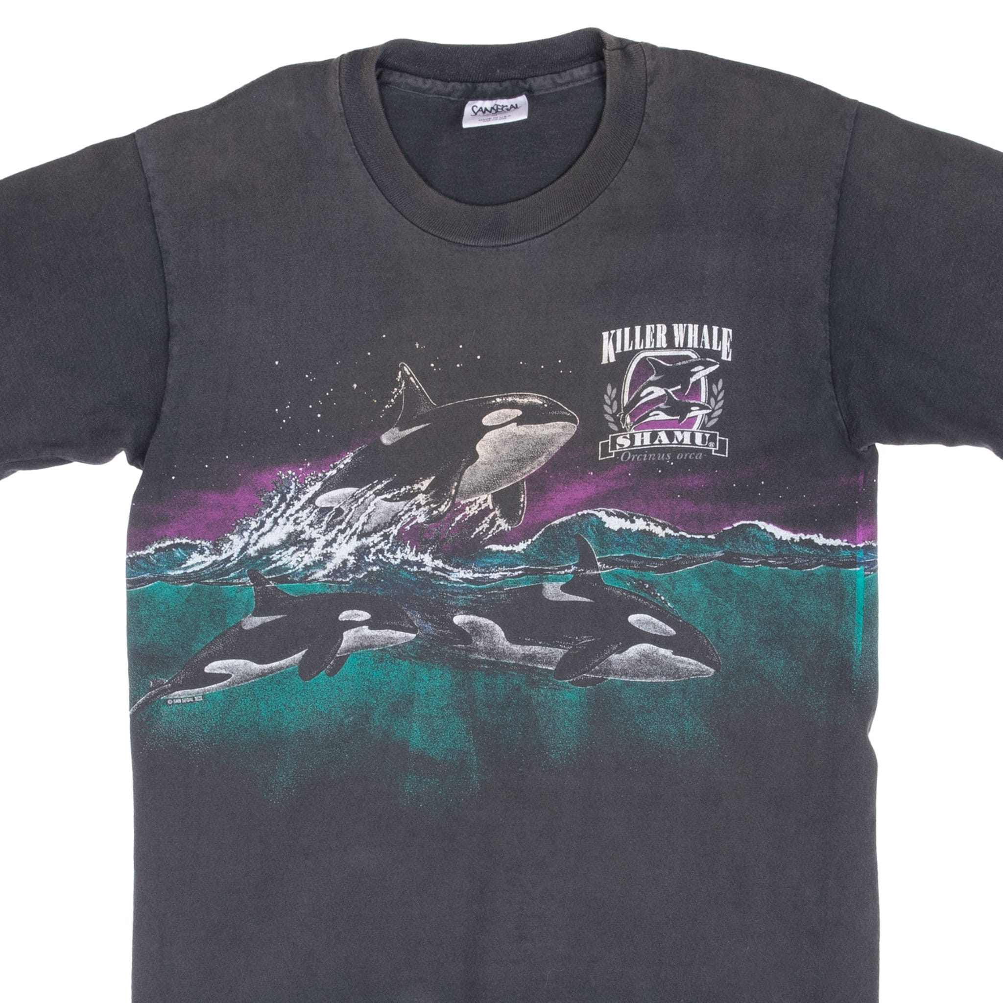 Front upper view of black SeaWorld Shamu T-shirt with teal and purple orca ocean graphic