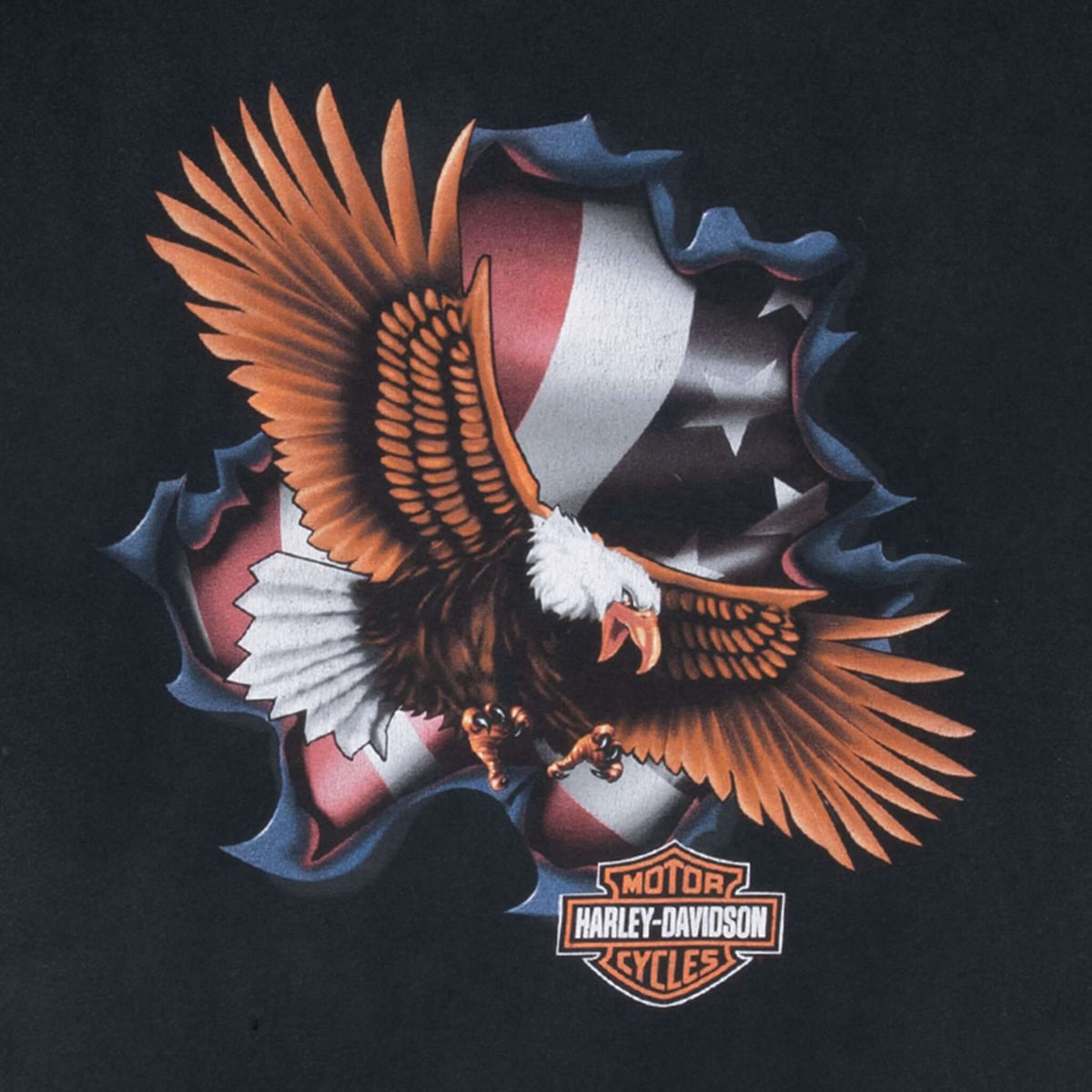 Close-up of eagle, American flag, and Harley-Davidson front graphic
