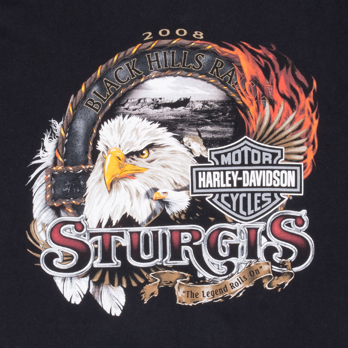 Front graphic detail with bald eagle, flames, Harley-Davidson logo, and Sturgis lettering