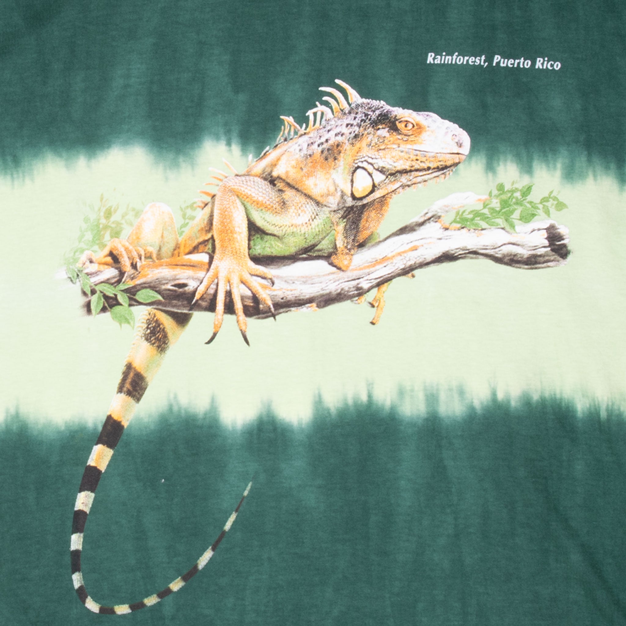 Vintage Tie Dye Iguana Rainforest Puerto Rico Animal Print Tee Shirt 2000S Deadstock Size XL