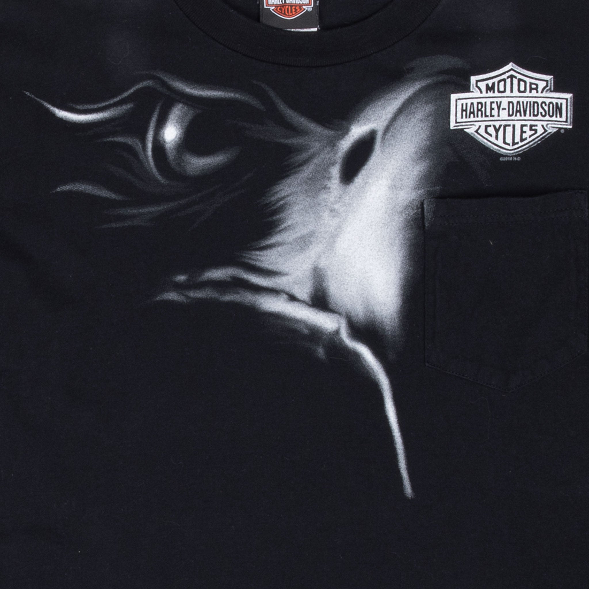 Vintage Harley Davidson Flaming Gorges 2010 Tee Shirt Size XL
