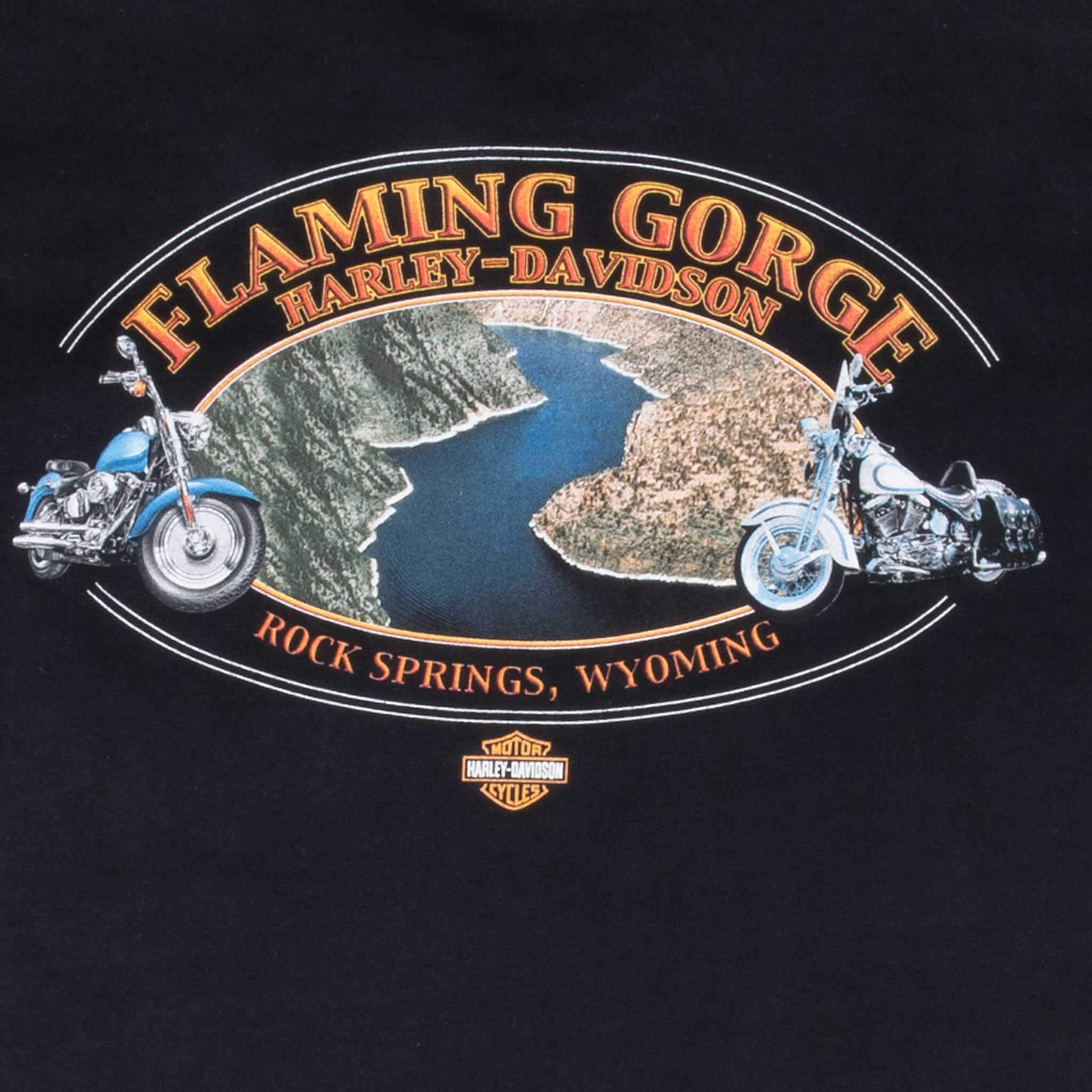Vintage Harley Davidson Rock Springs Wyoming 2000S Tee Shirt Size Medium