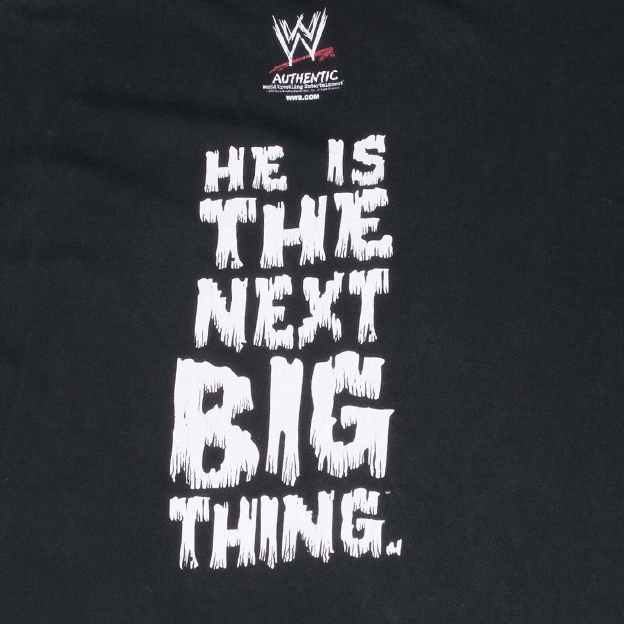 Vintage Wwe Brock Lesnar he is the next big thing Wrestling Tee Shirt 2002 Size XL