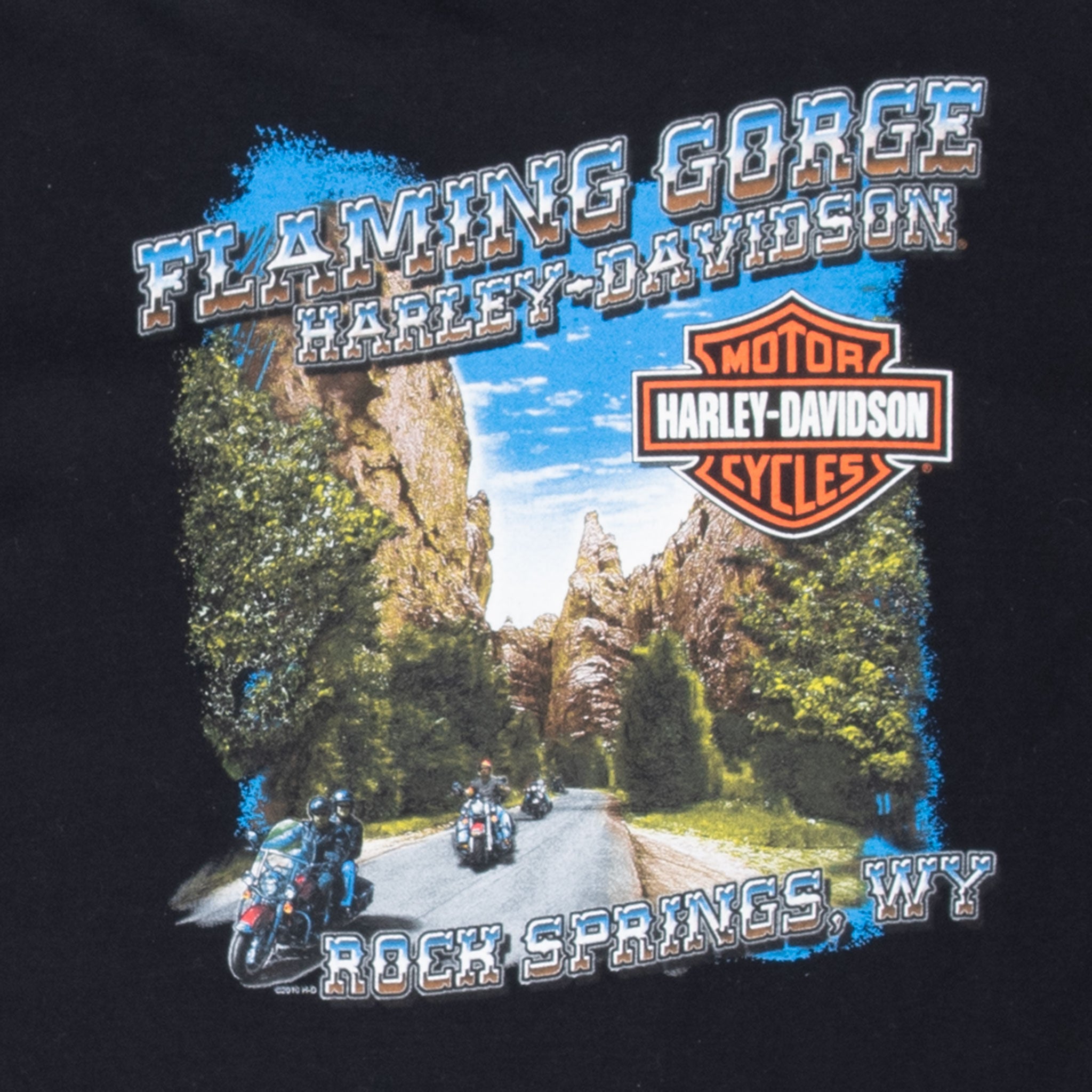 Vintage Harley Davidson Flaming Gorges 2010 Tee Shirt Size XL