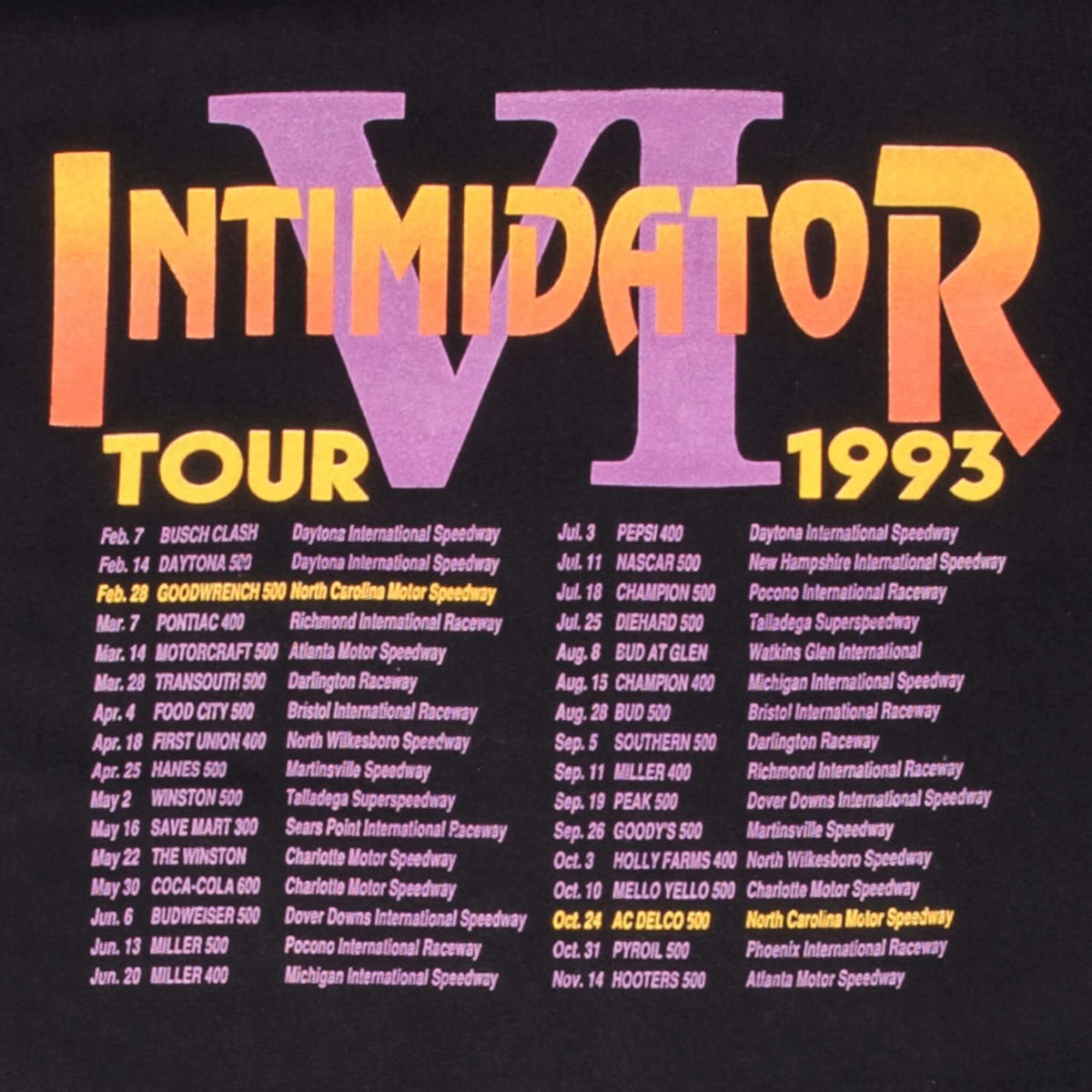 Vintage Nascar Dale Earnhardt Intimidator 6 Tour 1993 Tee Shirt Size Medium Made In Usa With Single Stitch Sleeves