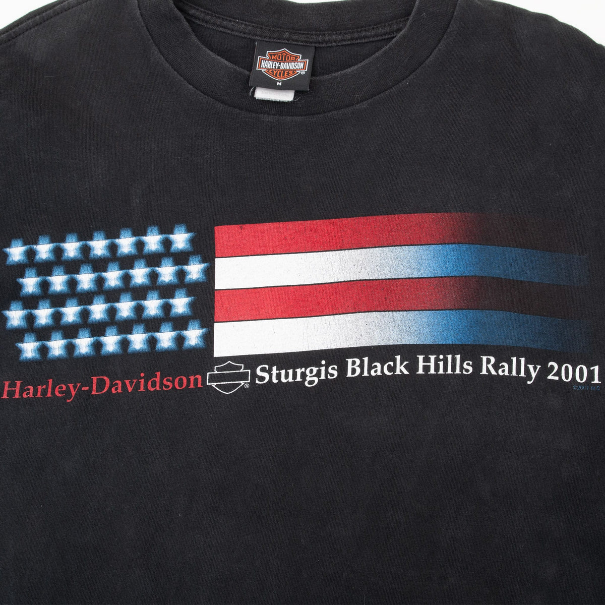 Close-up of Sturgis Black Hills Rally 2001 flag graphic on front