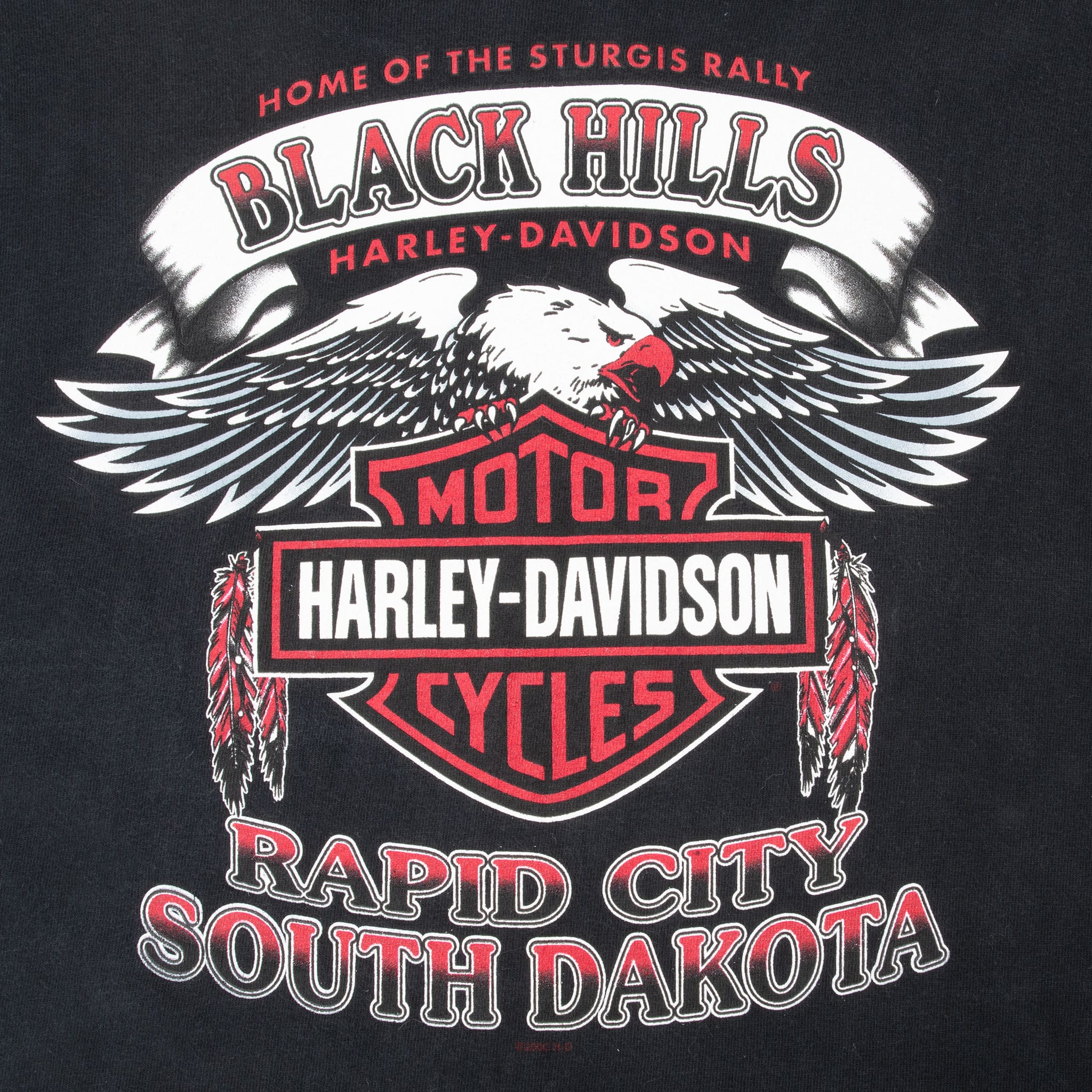 Close-up of Black Hills Harley-Davidson eagle and Rapid City back graphic