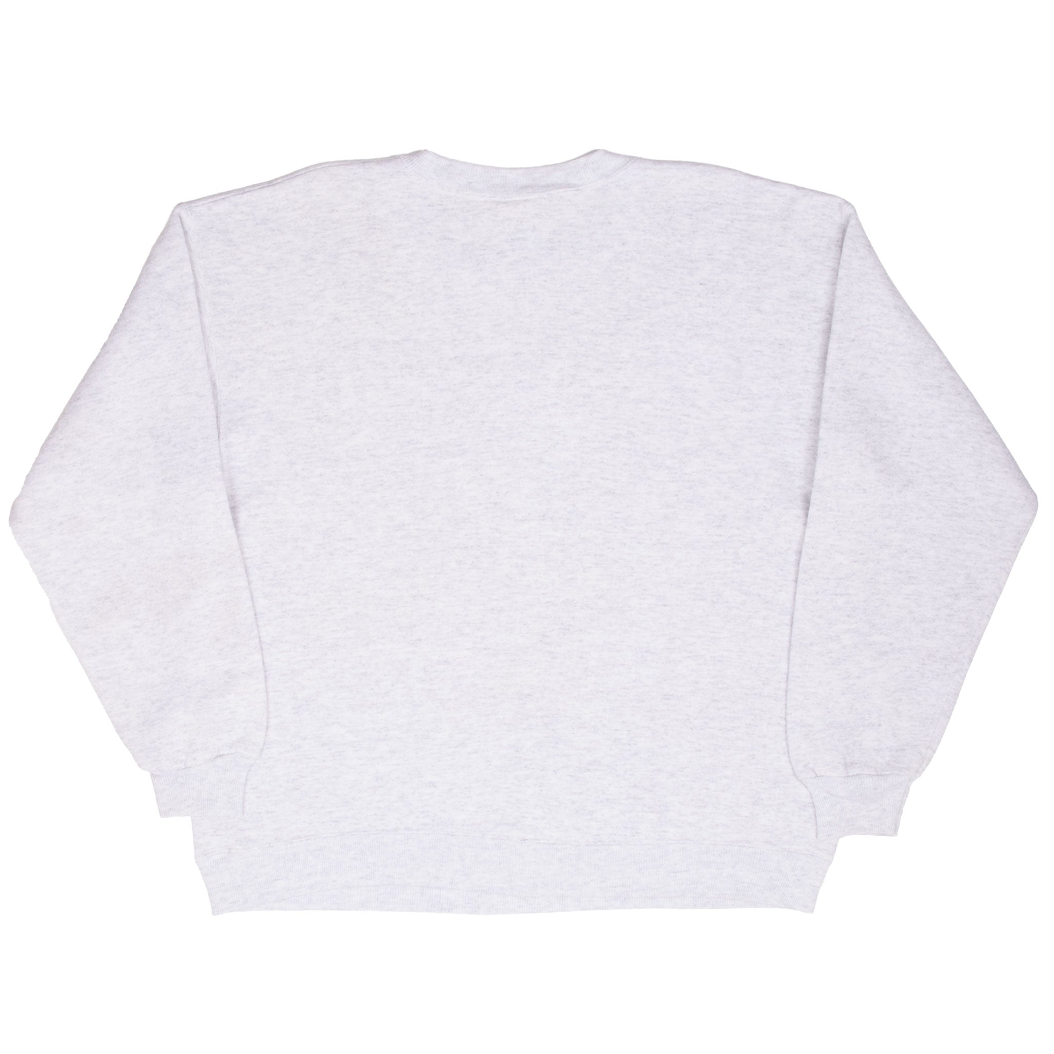 Vintage Nba Phoenix Suns Taz Looney Tunes Grey Sweatshirt 1994 Size Large Made In Usa