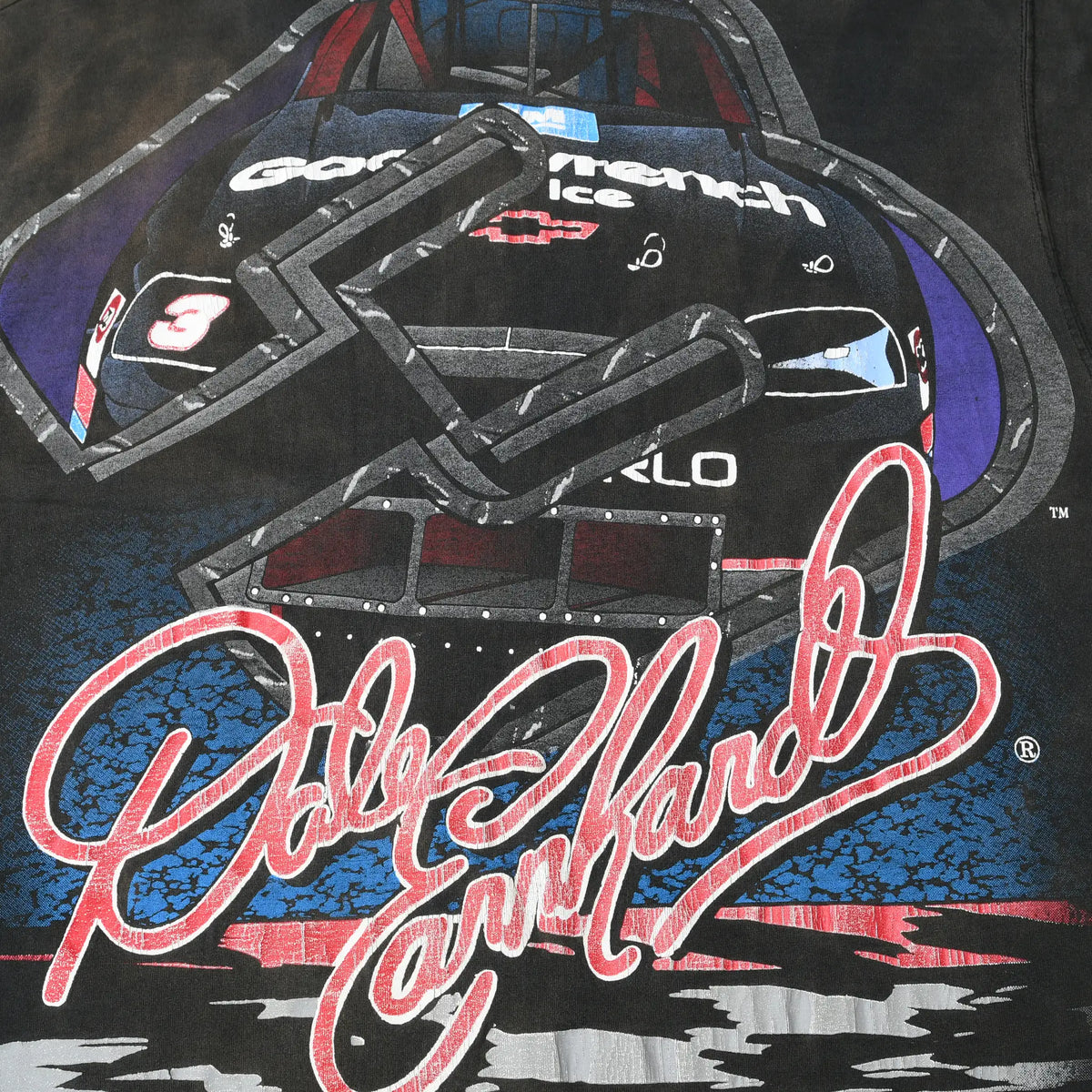Close-up of back print with black No. 3 race car and large Dale Earnhardt signature
