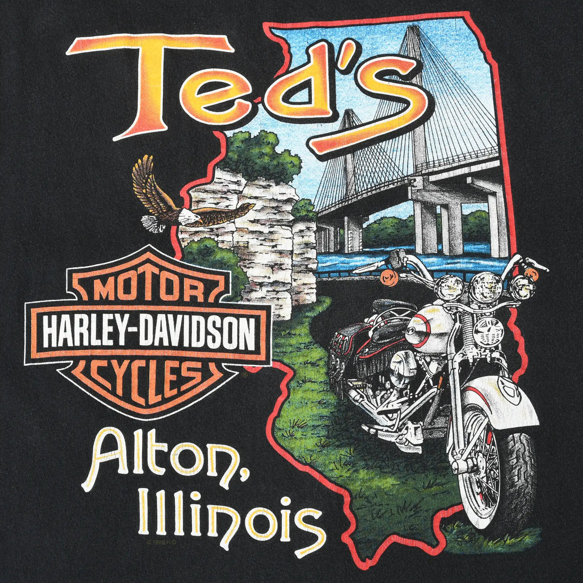 Close-up of Ted's Harley-Davidson Alton, Illinois back graphic with motorcycle, bridge, and eagle