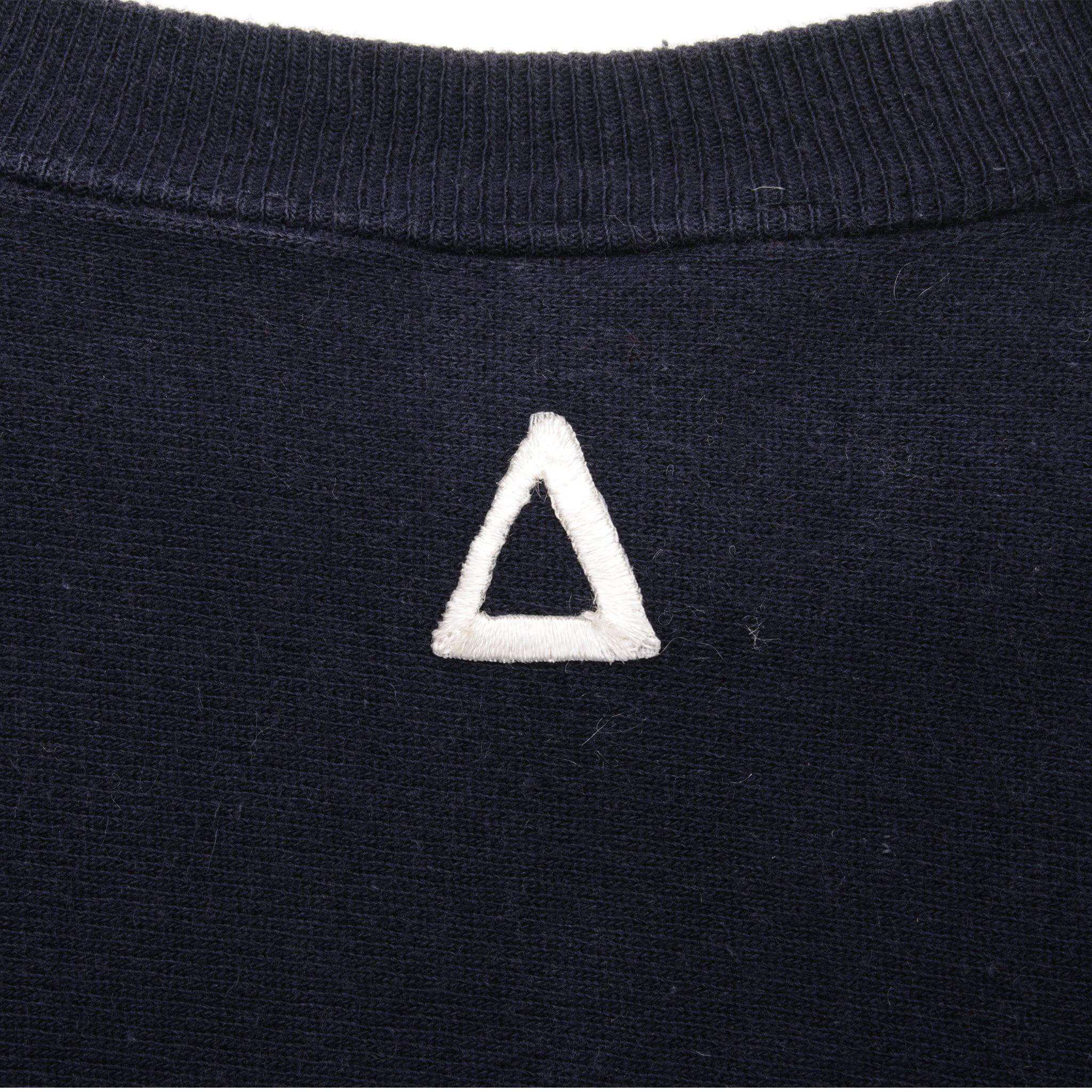 VINTAGE CHAMPION REVERSE WEAVE PI ALPHA PHI SWEATSHIRT 1990S XL MADE USA