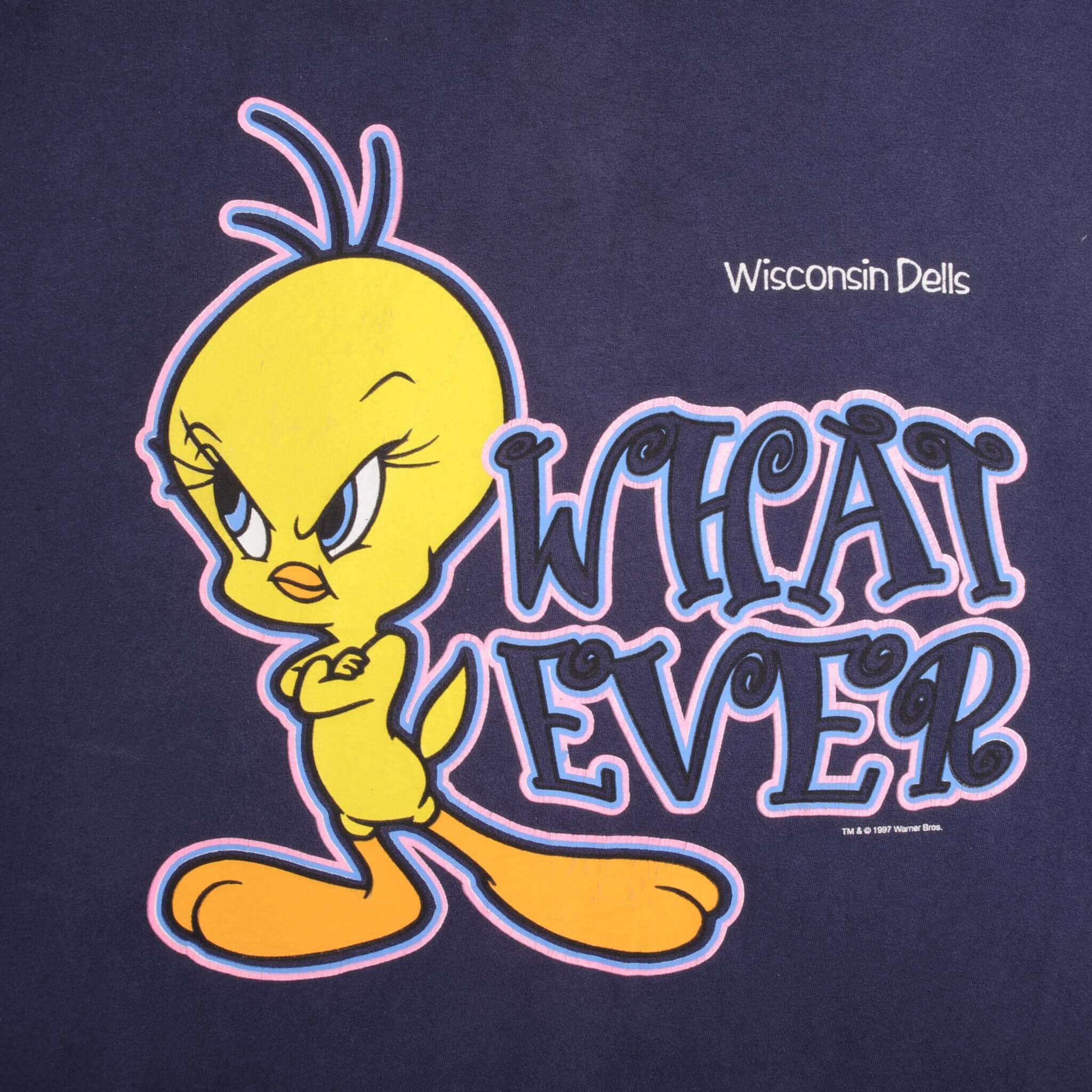 Vintage Looney Tunes Tweety Whatever Wisconsin Dells Tee Shirt 1997 Size XL Made In Usa