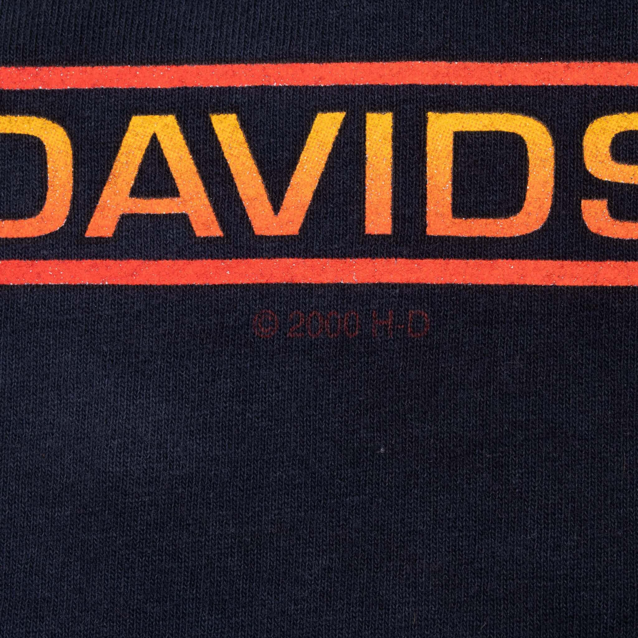 Vintage Tie Dye Harley Davidson 2000 Tee Shirt Size 2XL Made In Usa