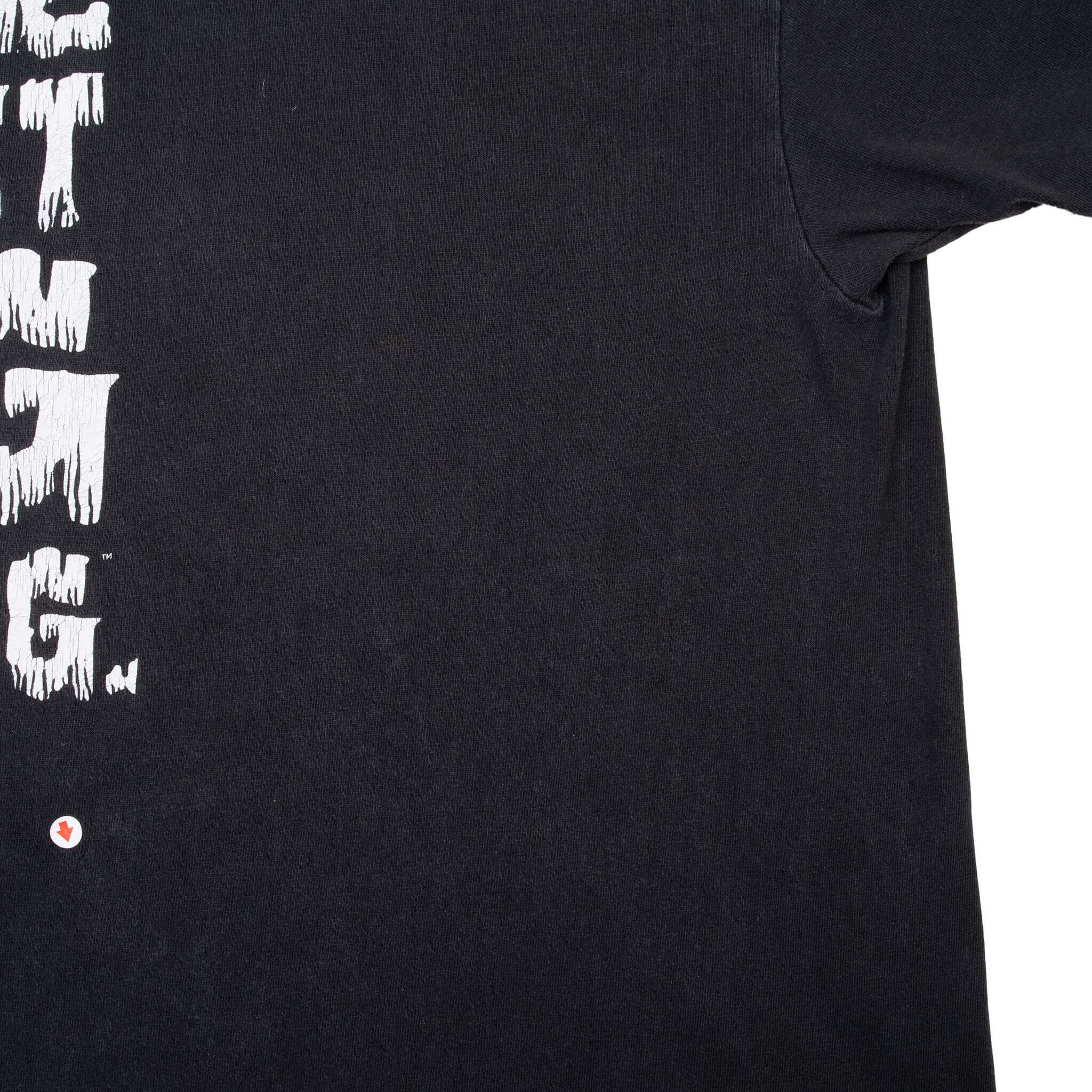 VINTAGE WWE BROCK LESNAR WRESTLING TEE SHIRT 2002 XL