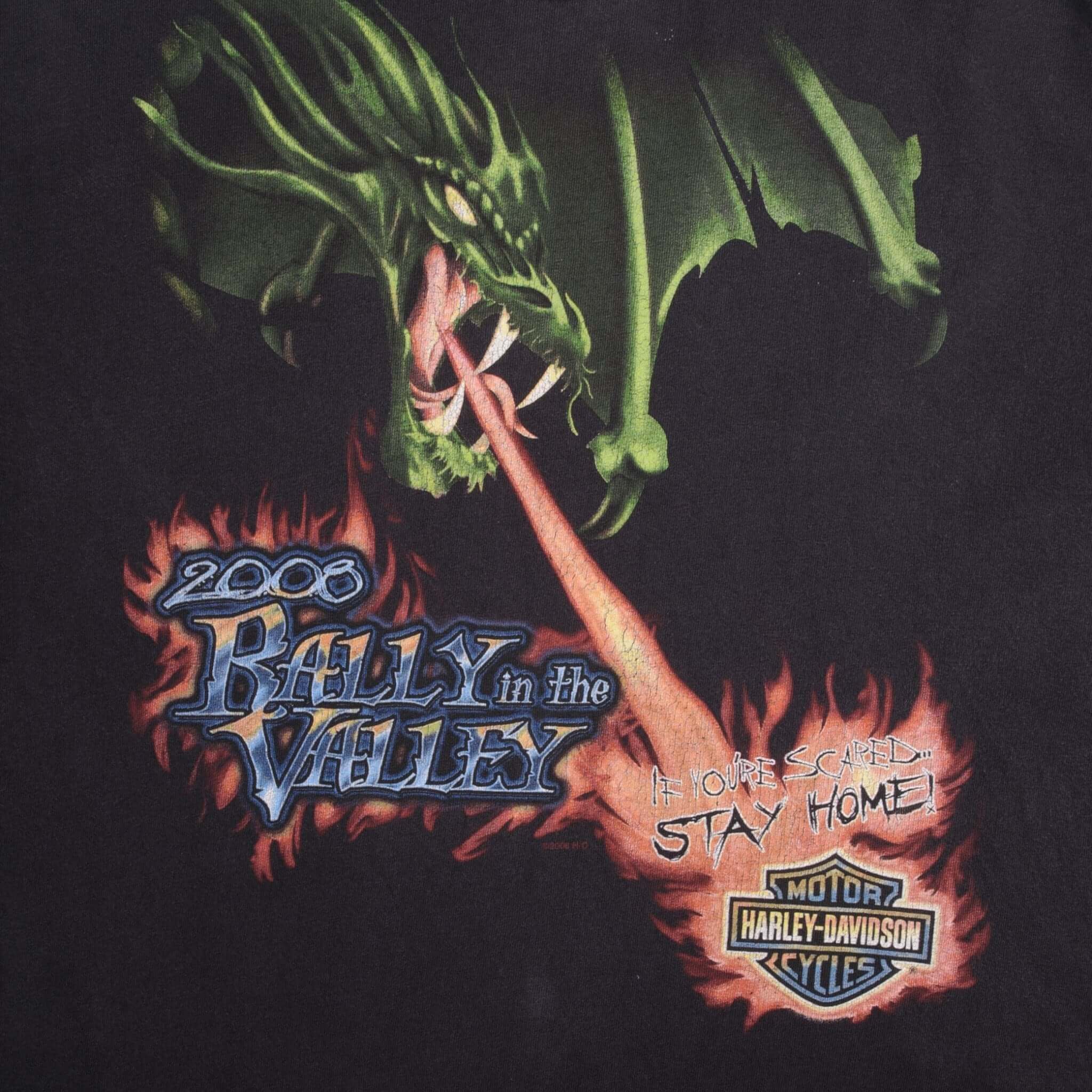 Vintage Harley Davidson 2008 Rally In The Valley Maggie Valley, NC Dragon Long Sleeves Tee Shirt Size Medium