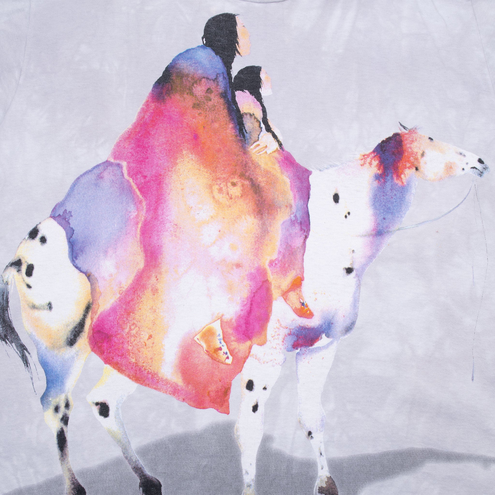 Close-up of Carol Grigg print showing two Native American riders on a spotted horse