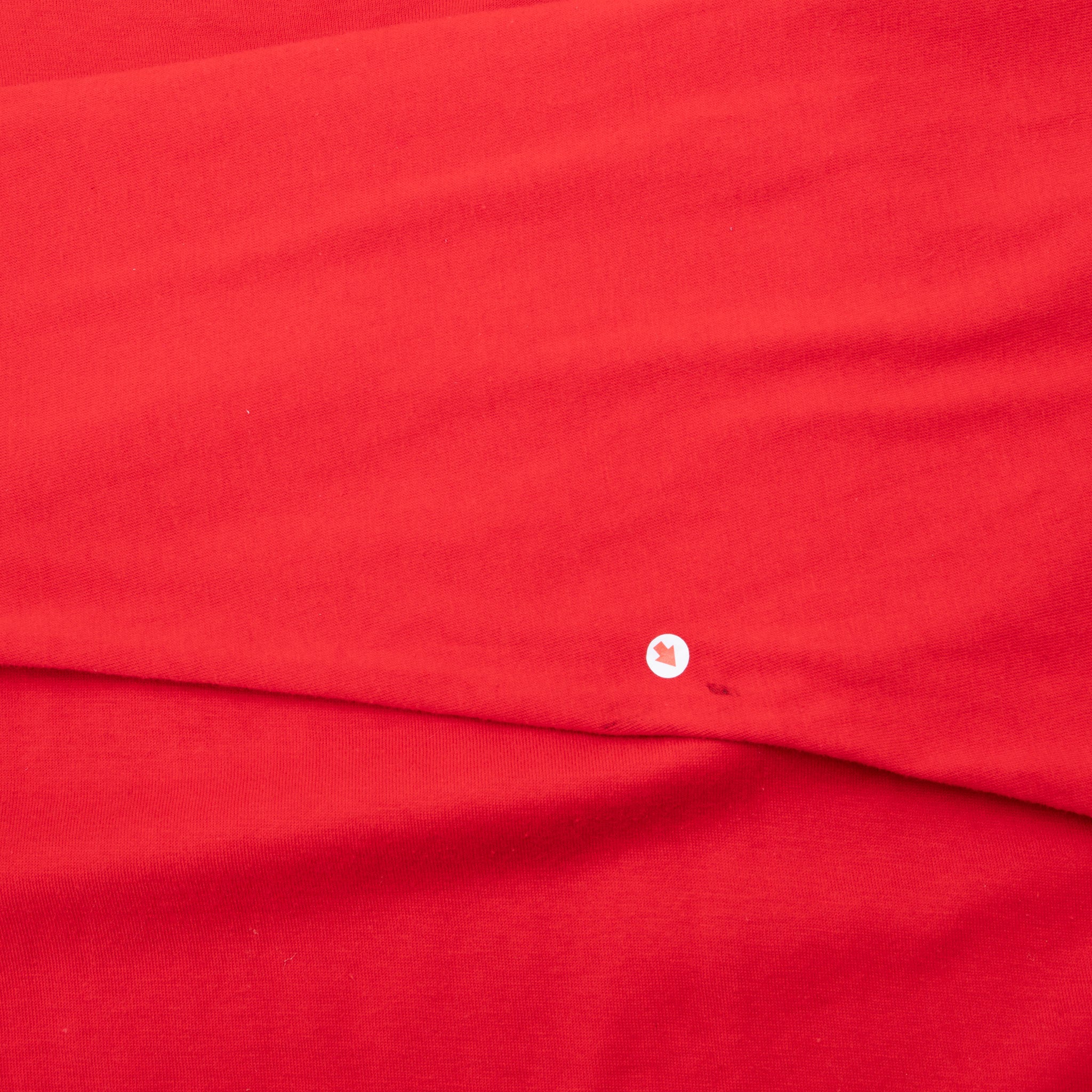 VINTAGE UNIVERSITY OF CALGARY DINOS LONG SLEEVE TURTLE NECK TEE SHIRT 1990S XL