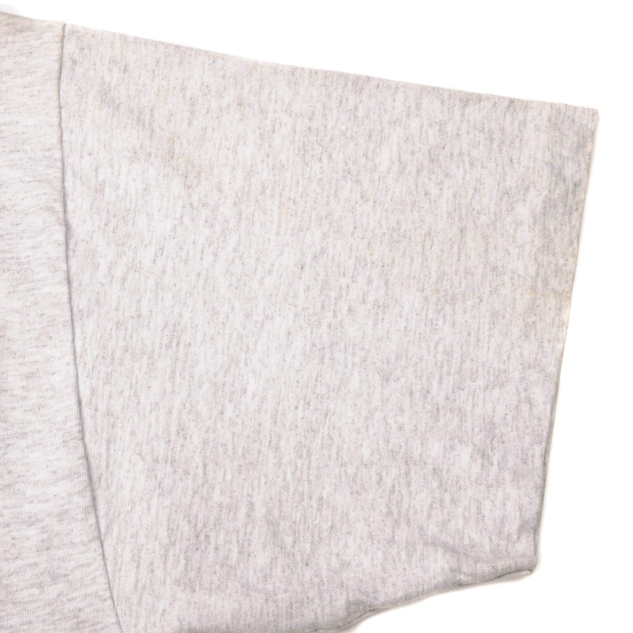 VINTAGE NFL MIAMI DOLPHINS TEE SHIRT 1995 SIZE XL