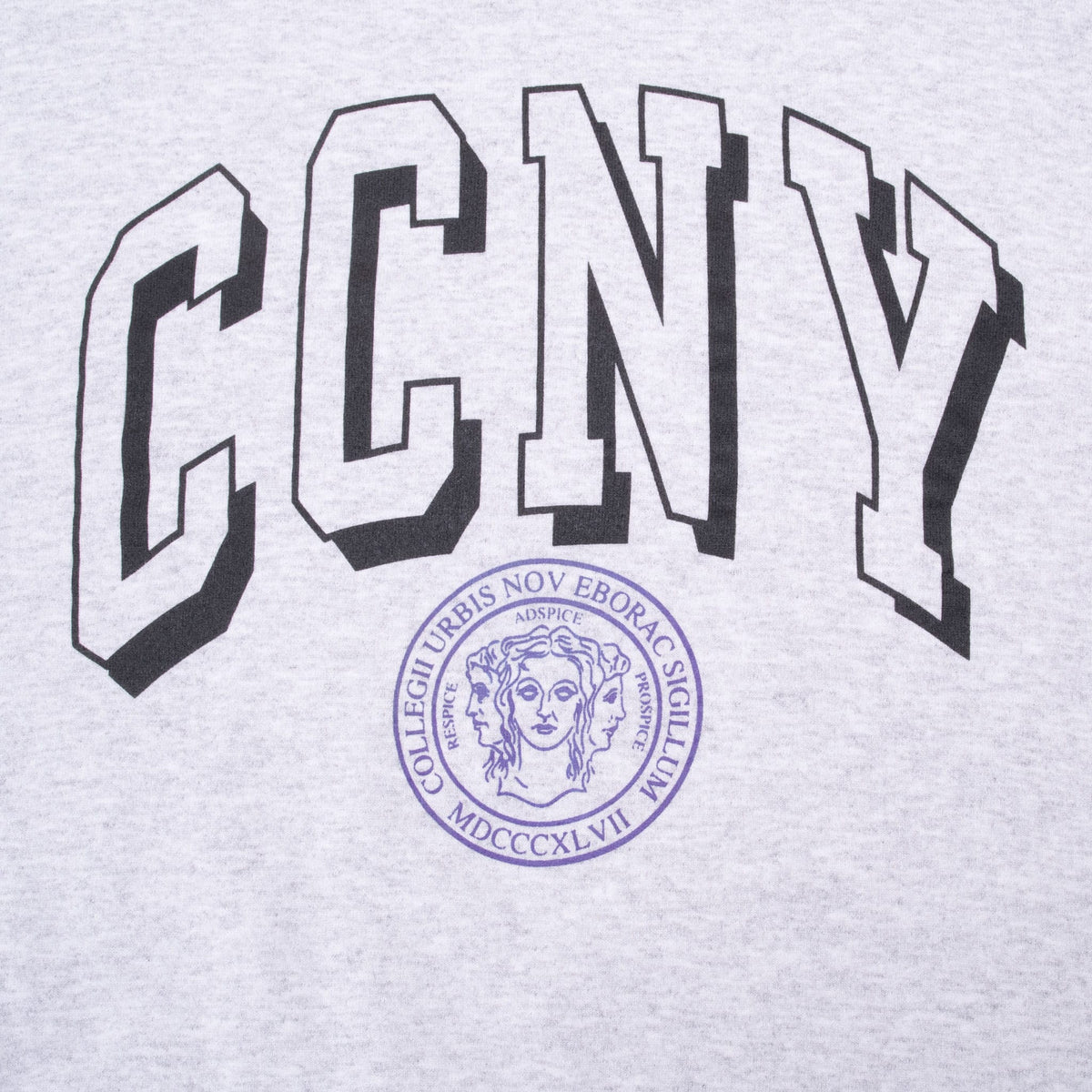 Vintage Champion City College of New York CCNY Sweatshirt 1990s Size 2XL Made in USA