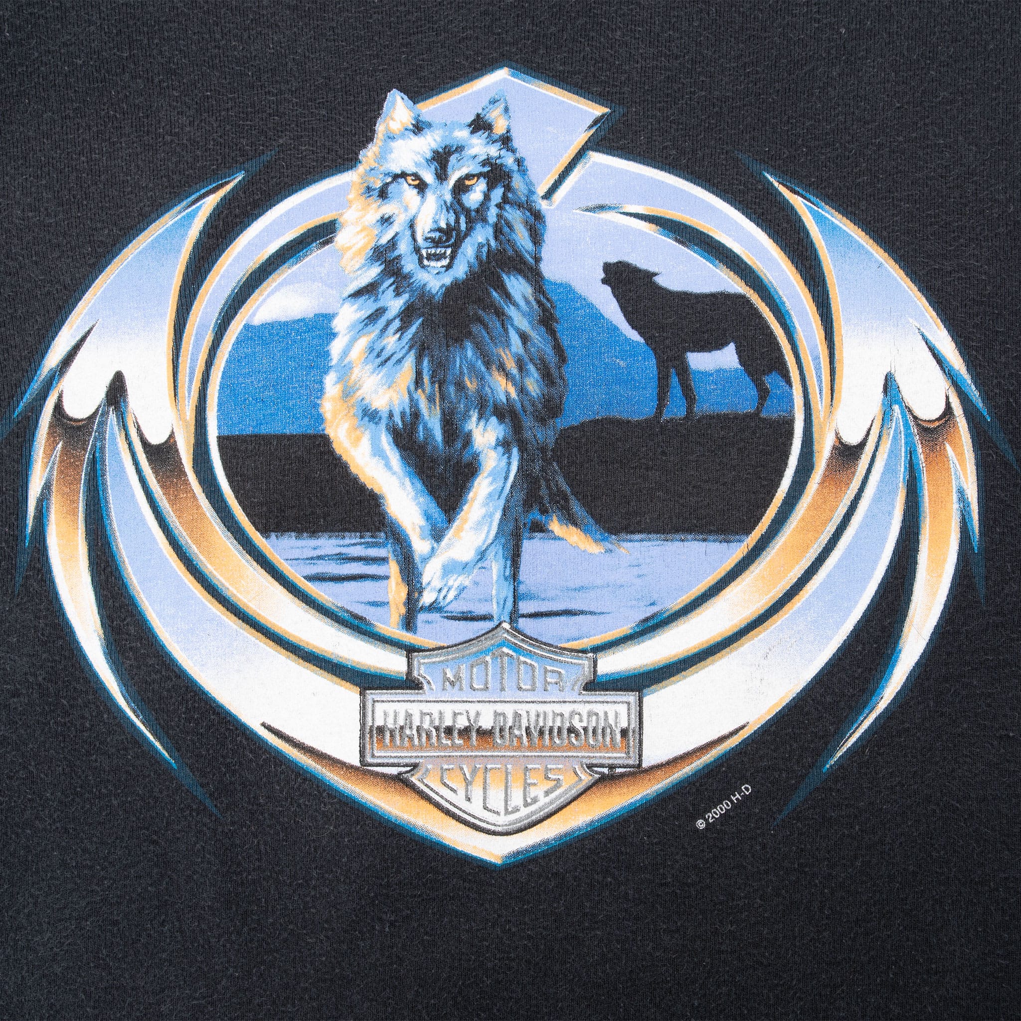 Vintage Harley Davidson Snake Twin Falls Idaho Tank Top Tee Shirt 2000 Size XL Made In Usa