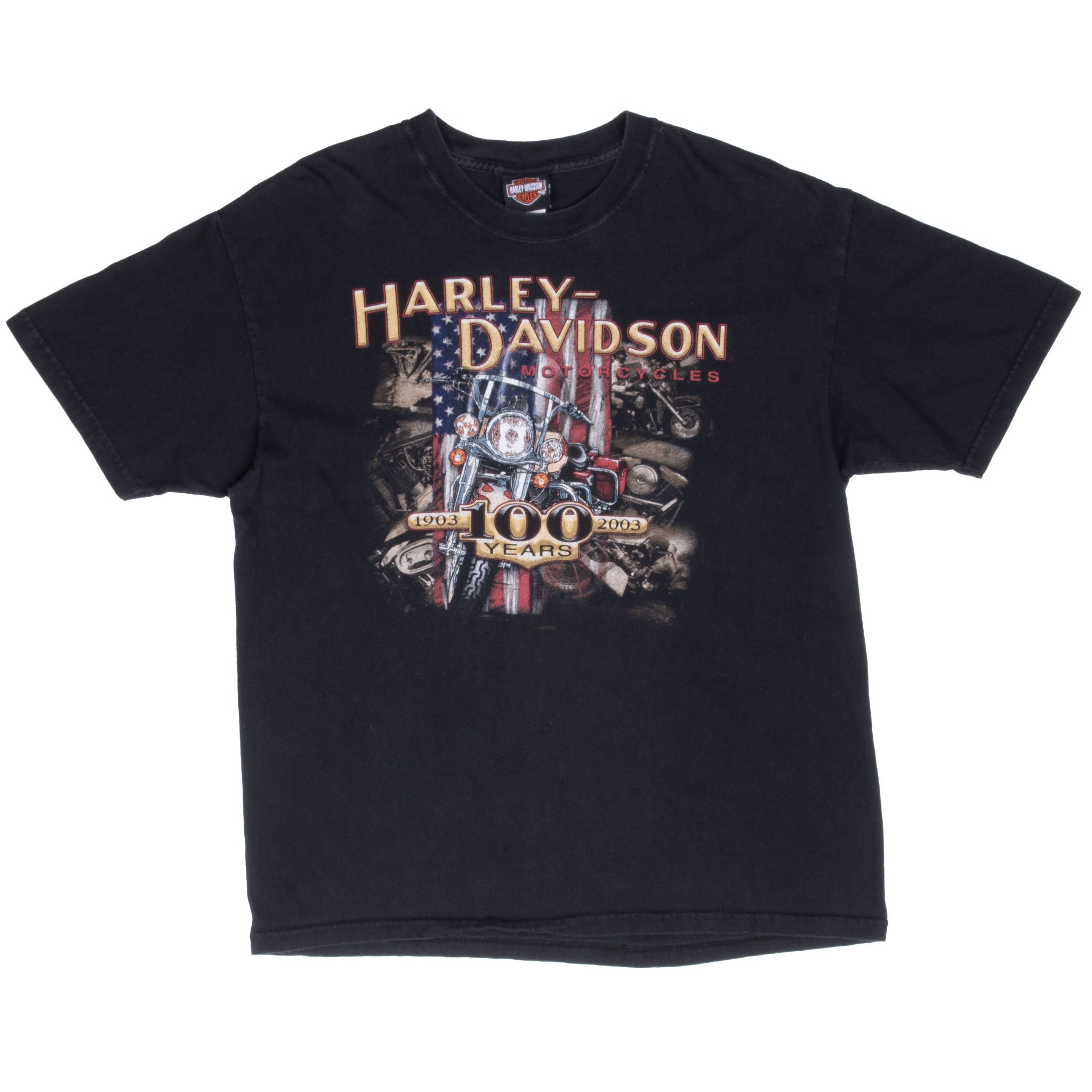 Vintage Harley Davidson 100 Years Anniversary Tee Shirt 2003 Size Large Made In Usa