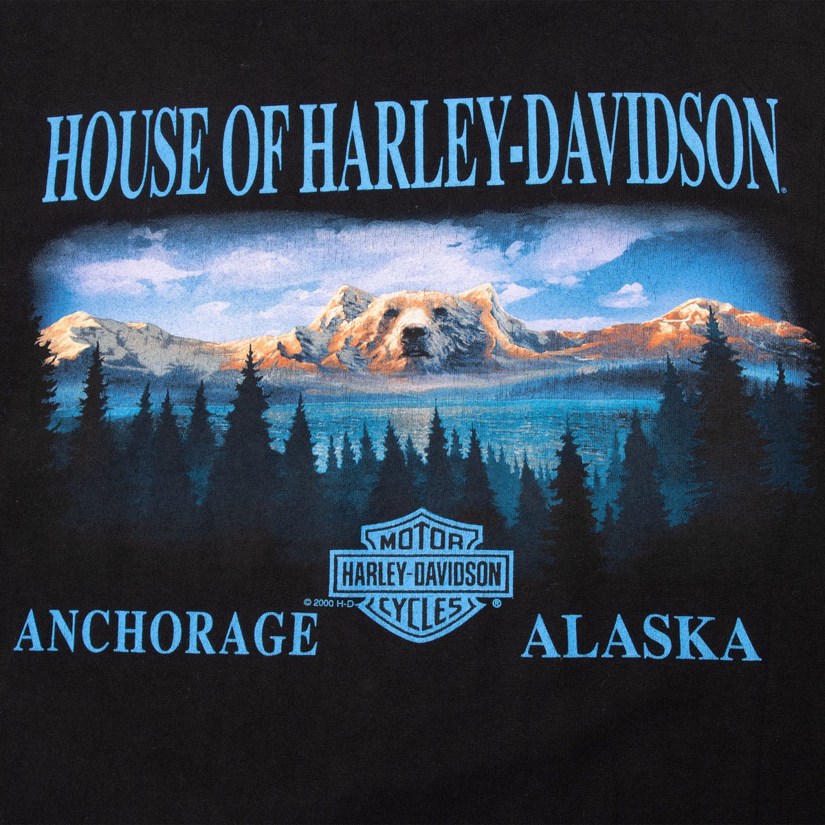 Vintage Harley Davidson Thunders Alaska All Over Print Tee Shirt 2000 Size 2XL