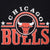 Vintage NBA Chicago Bulls 1990S Artex Tee Shirt Size Large Made In USA With Single Stitch Sleeves