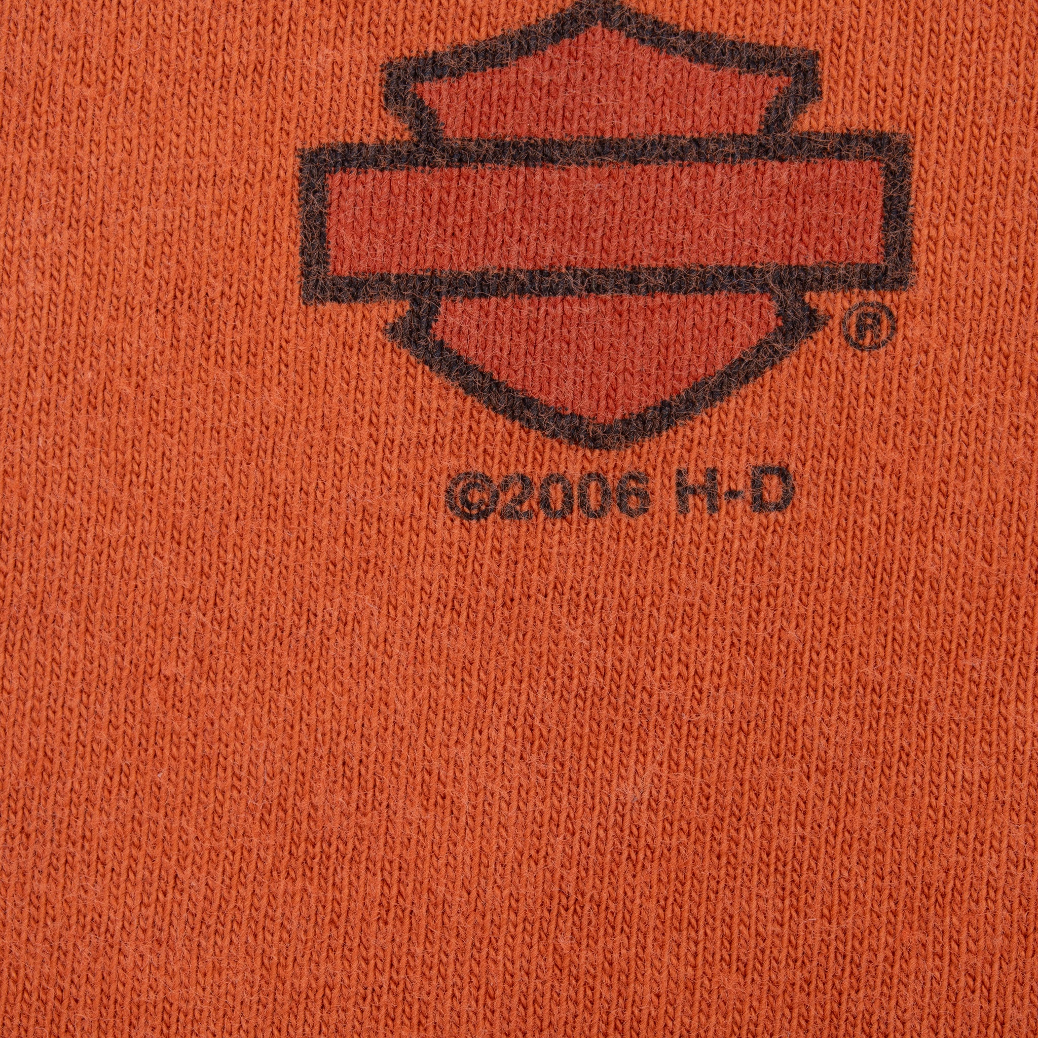 Vintage Harley Davidson Austin Texas 2006 Tee Shirt Size Large Made In Usa With Single Stitch Sleeves