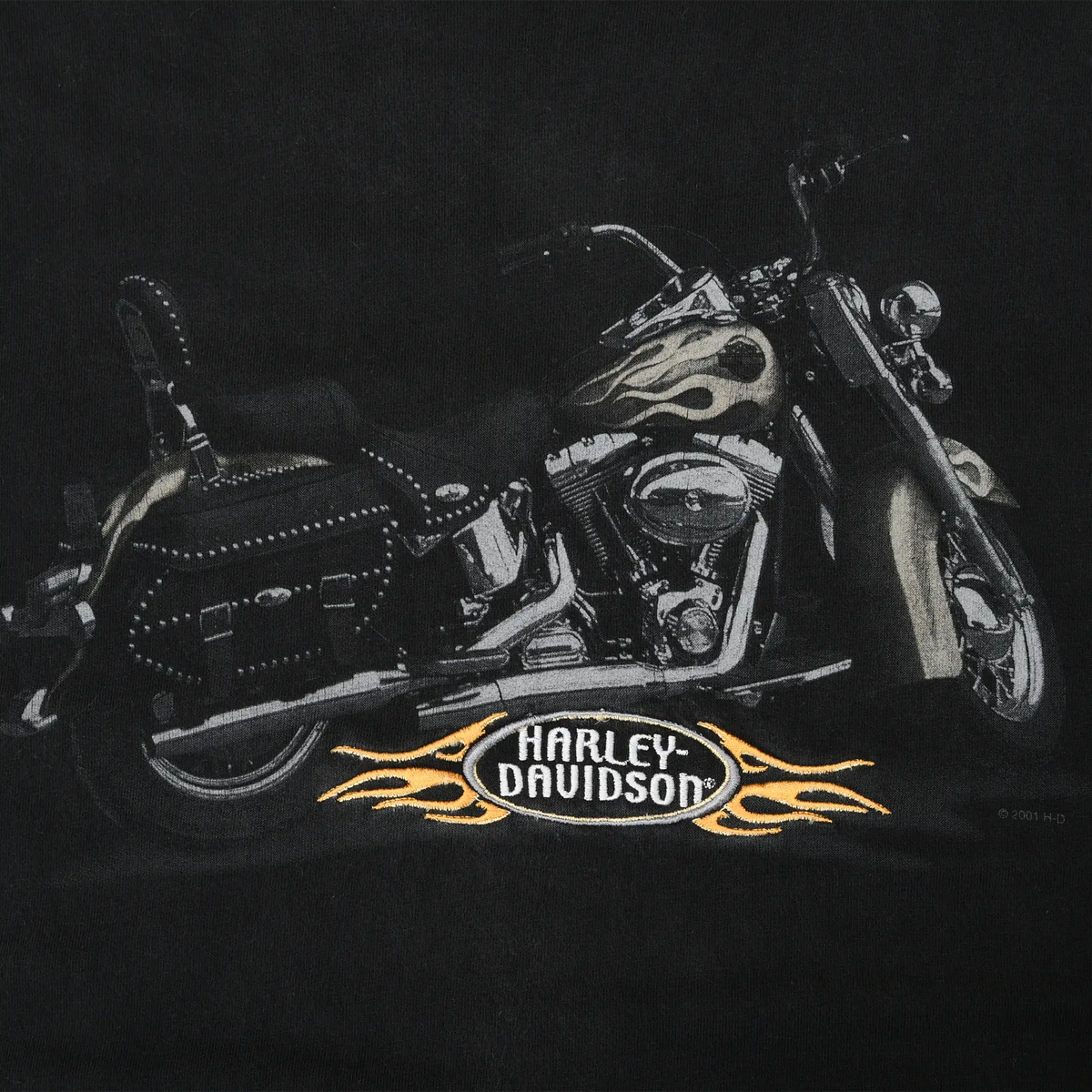 Close-up of front motorcycle print with Harley-Davidson logo and orange flames