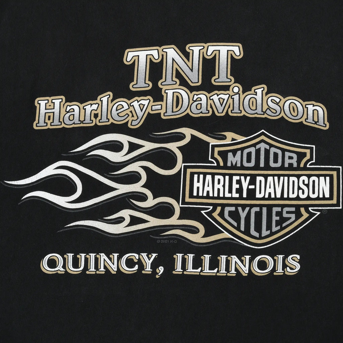 Close-up of back TNT Harley-Davidson flame graphic with Quincy, Illinois text