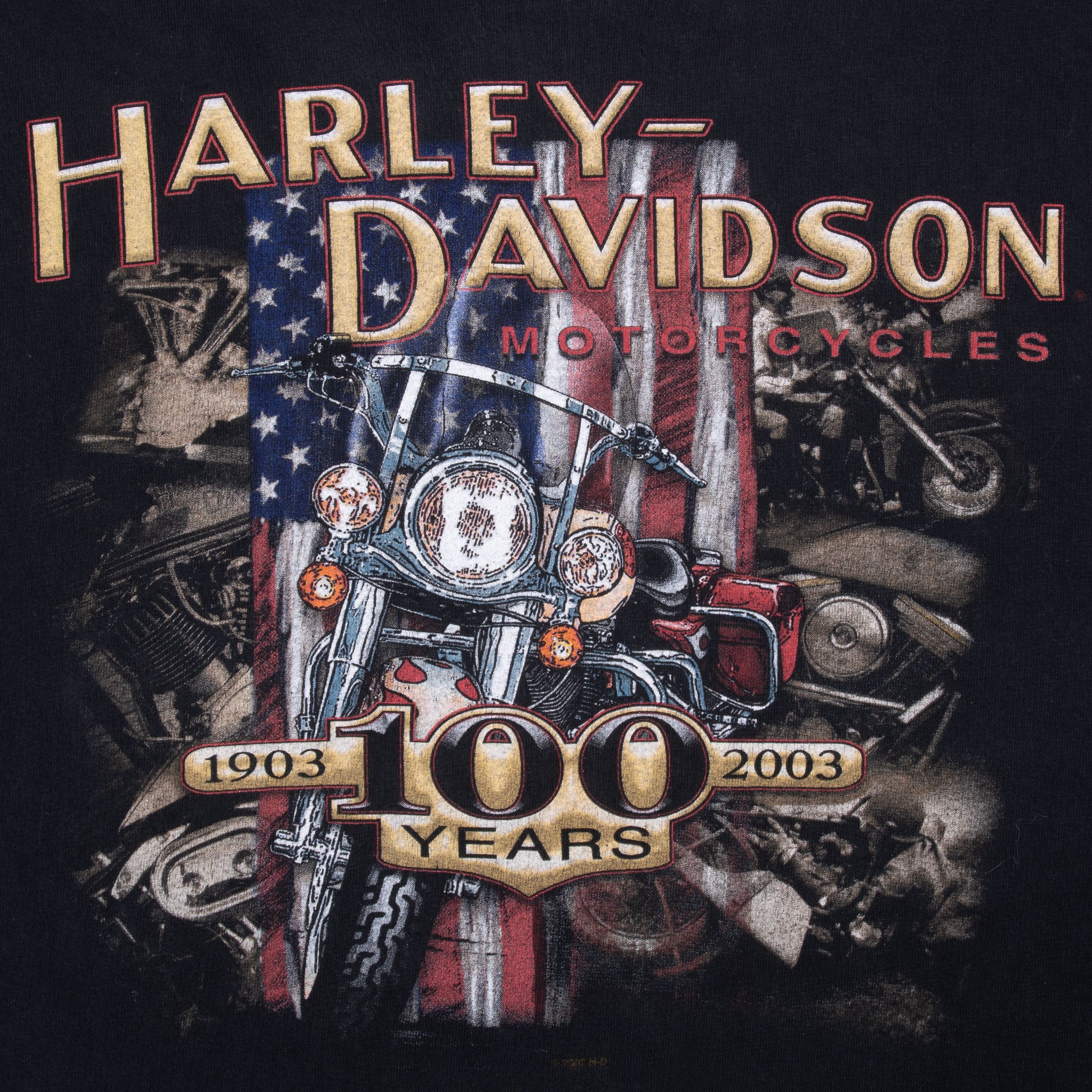 Vintage Harley Davidson 100 Years Anniversary Tee Shirt 2003 Size Large Made In Usa