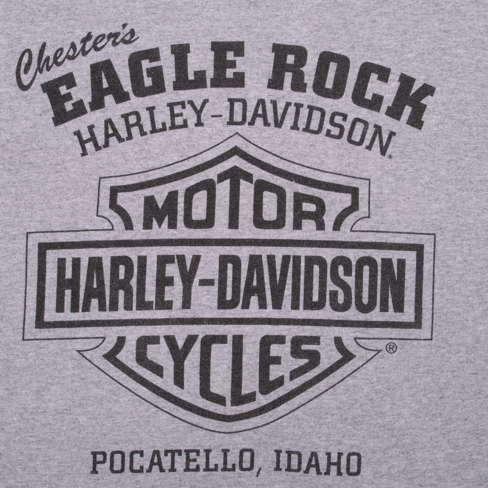 Vintage Harley Davidson Pocatello Idaho Flame Long Sleeve Tee Shirt 2017 Size XL