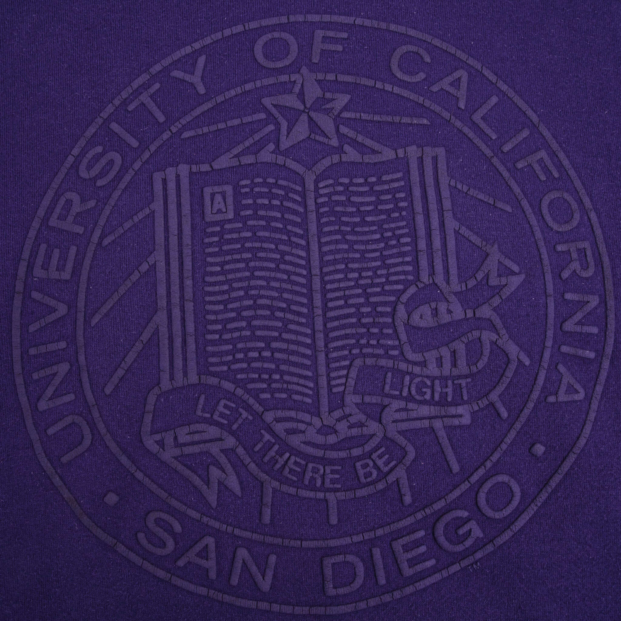 Vintage UCSD University Of California San Diego Russell Sweatshirt 1990S Size Medium Made In Usa