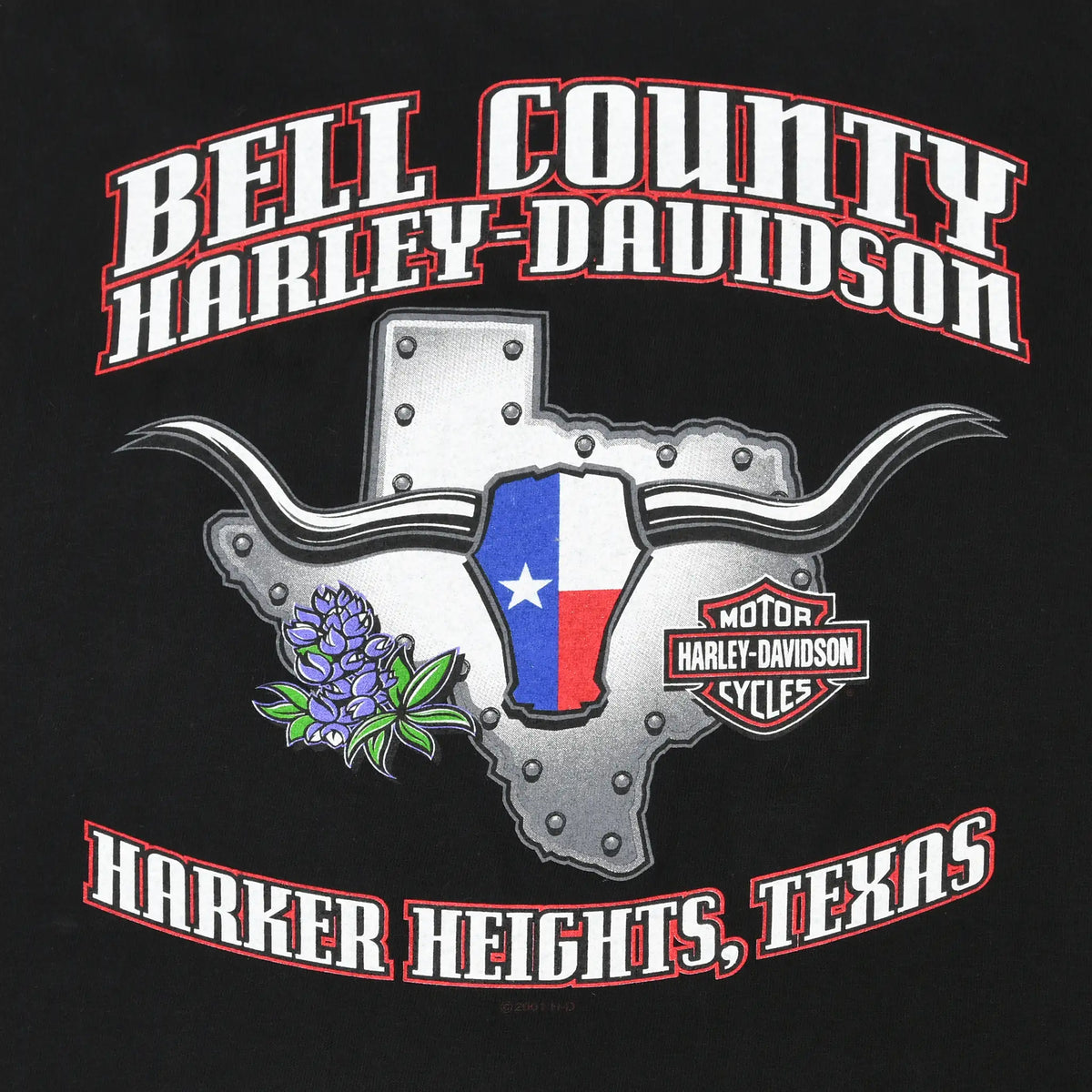 Close-up of Bell County Harley-Davidson Texas graphic with Harker Heights text