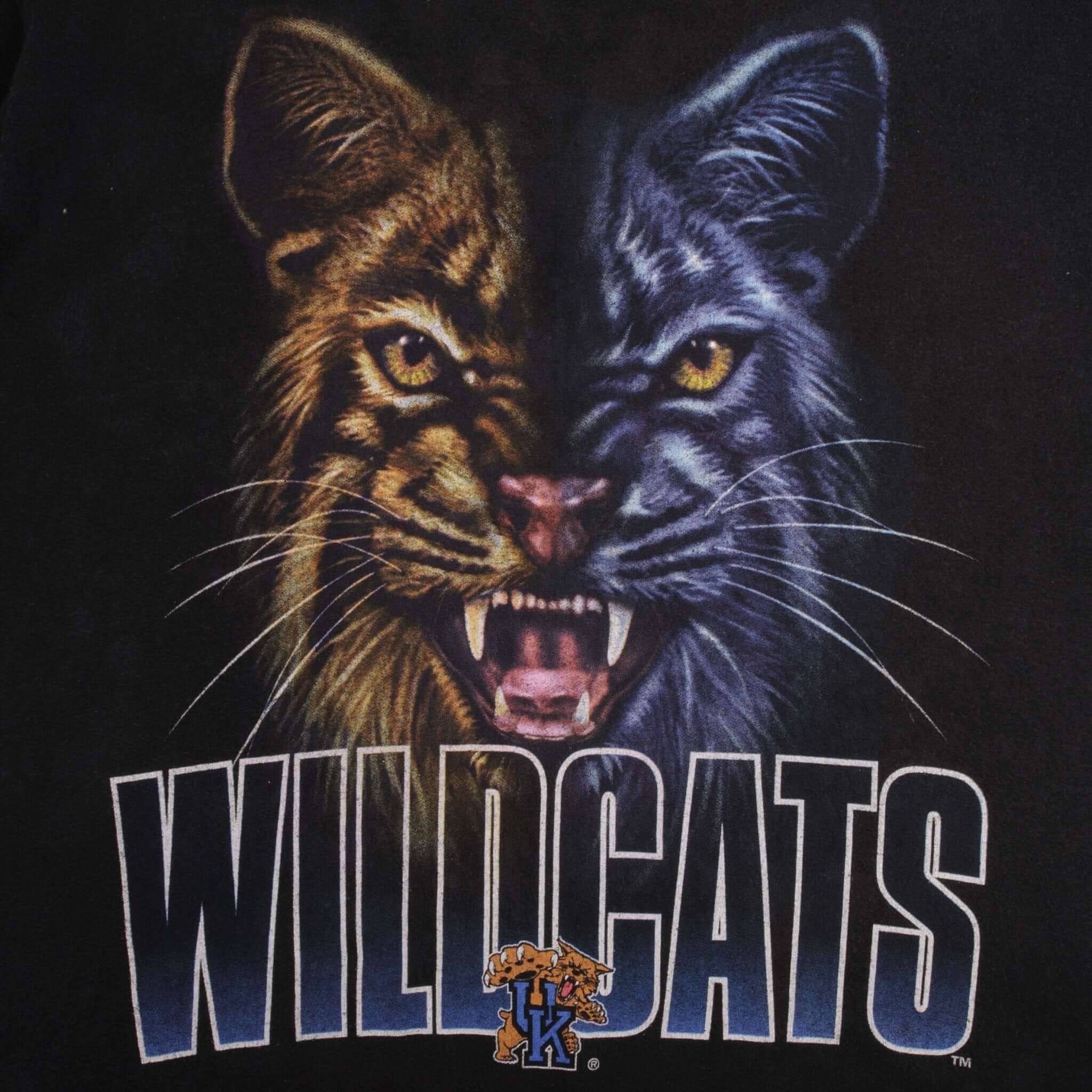 Vintage Ncaa University Of Kentucky Wildcats Tee Shirt 1990S Size Xl Made In USA With Single Stitch Sleeves