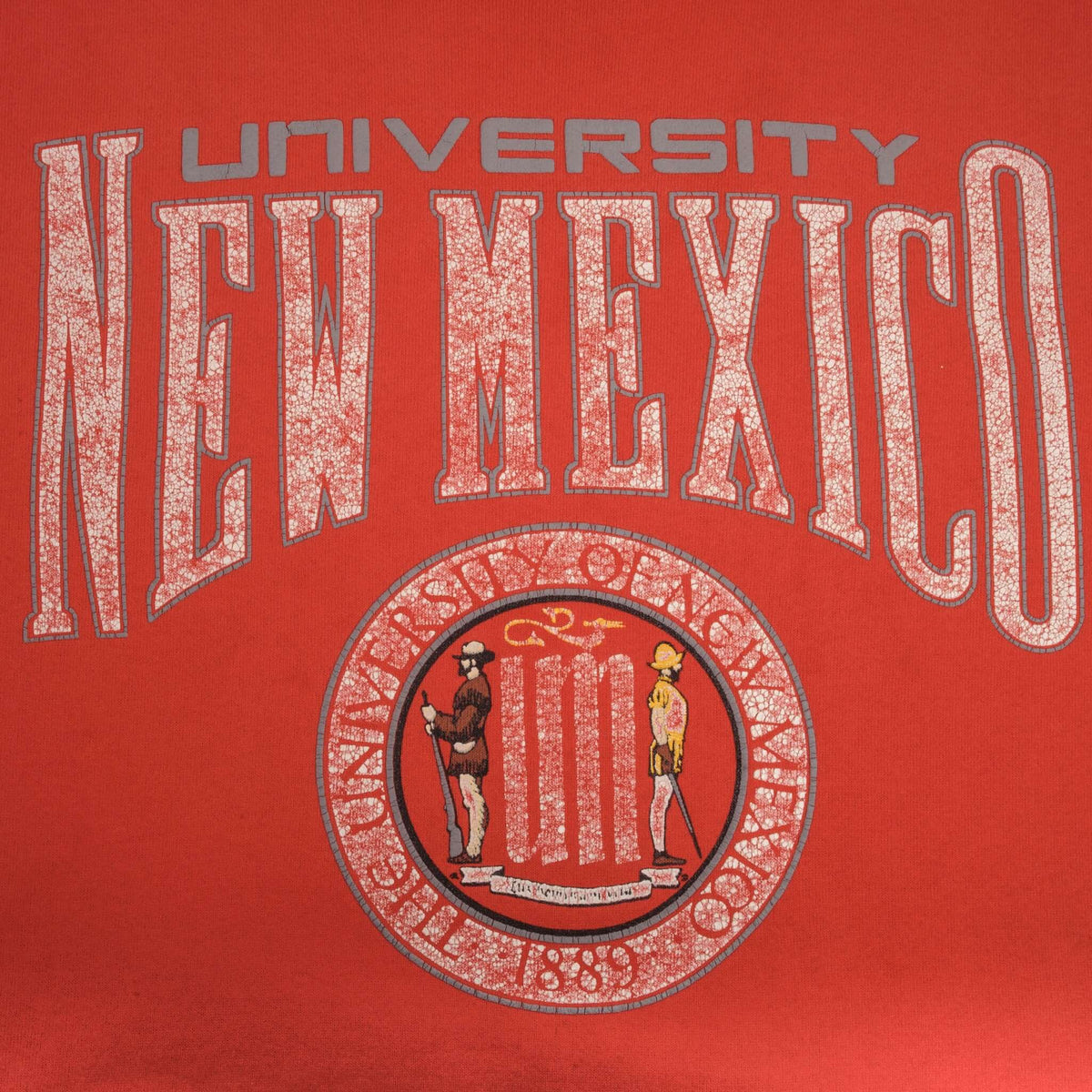 Close-up of distressed University of New Mexico lettering and seal graphic
