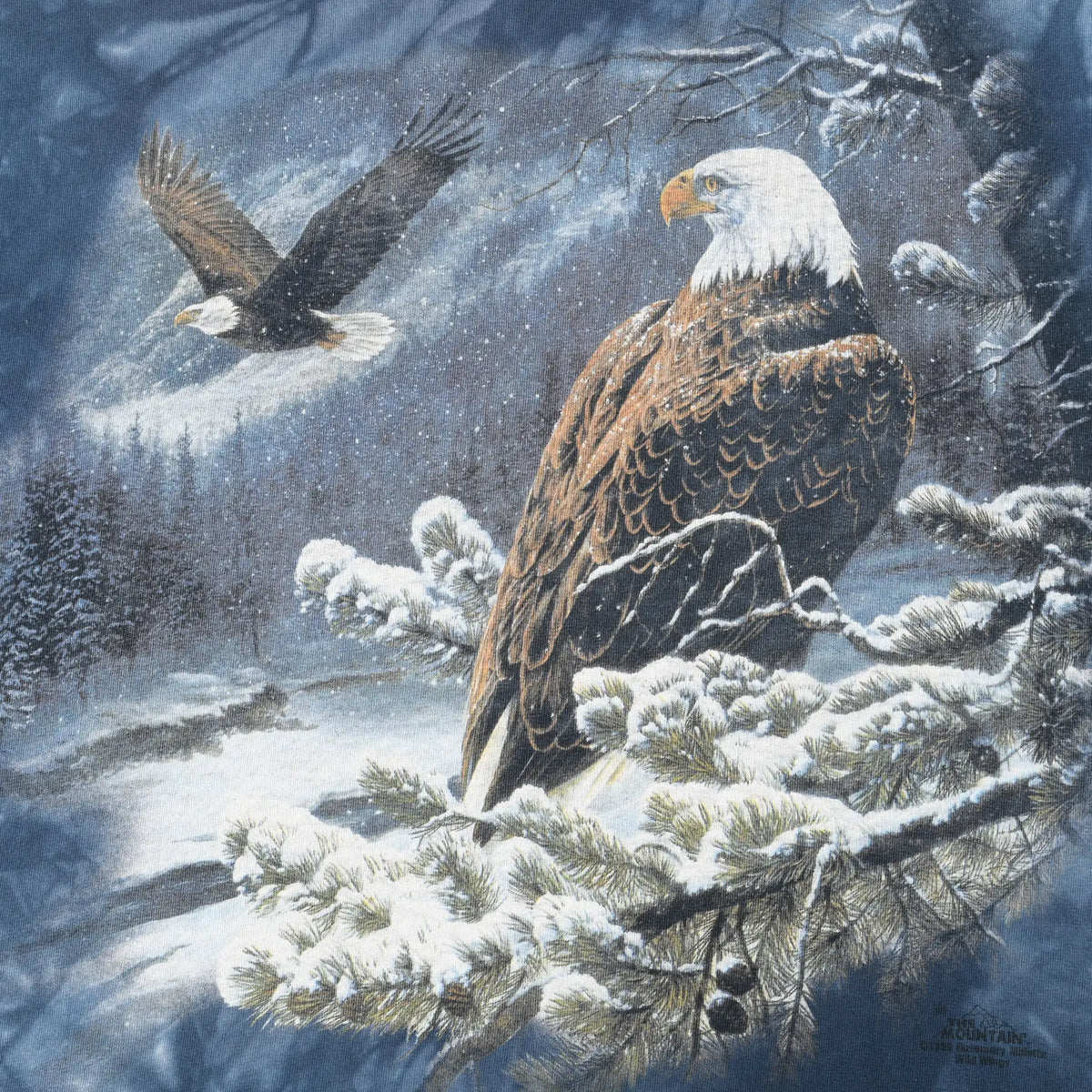Close-up of bald eagle print with snowy pine branches and a second eagle in flight