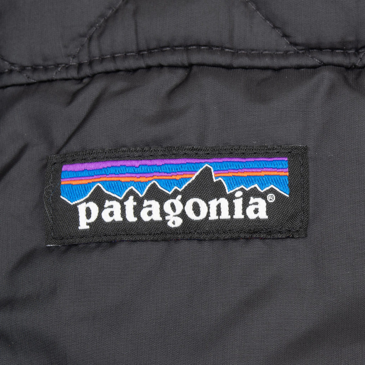 Patagonia mountain logo patch on black Radalie jacket chest