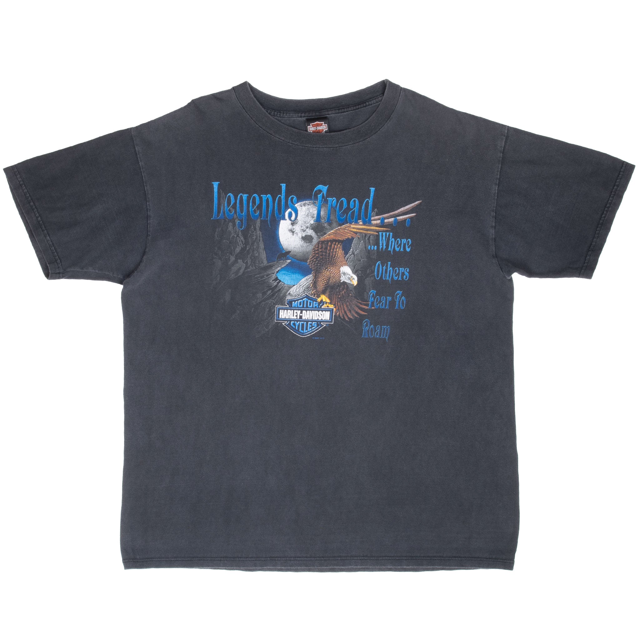 Vintage Harley Davidson Duluth Mn Tee Shirt 2001 Size XL Made In Usa