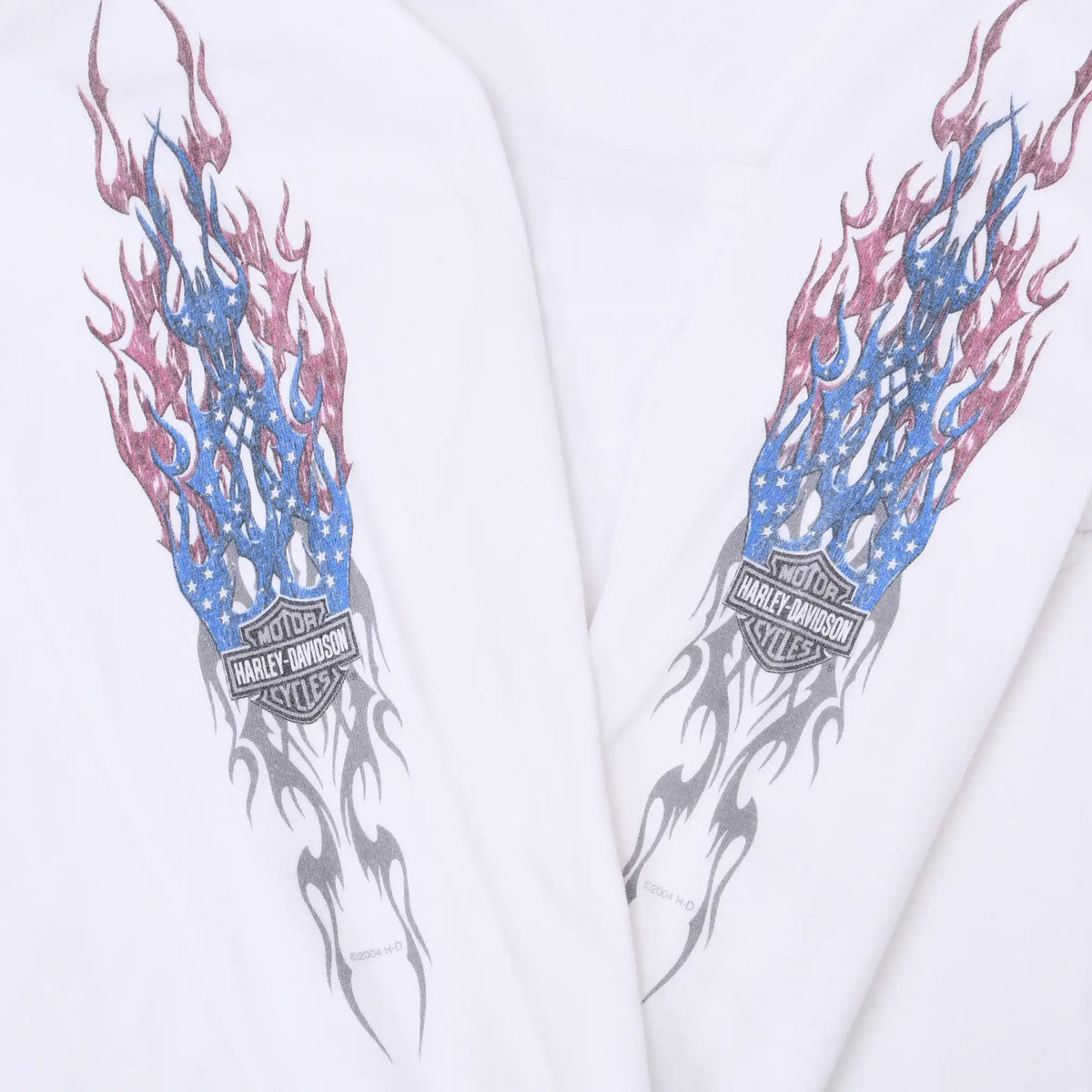 Close-up of red, blue and gray flame graphics with Harley-Davidson logos on both sleeves