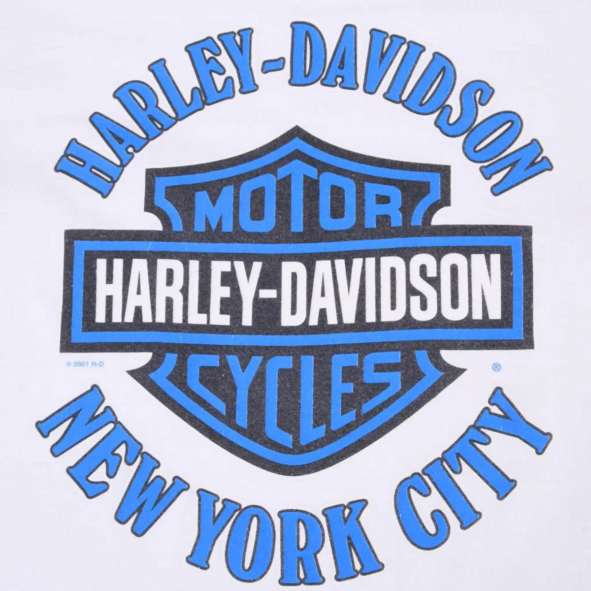 Close-up of blue Harley-Davidson Motor Cycles New York City back graphic