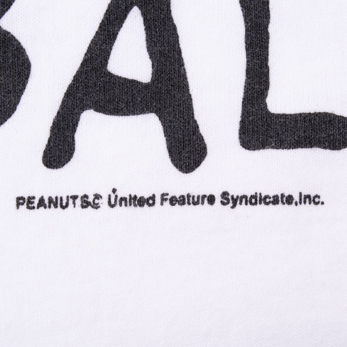 Close-up of Peanuts and United Feature Syndicate copyright text beneath the graphic