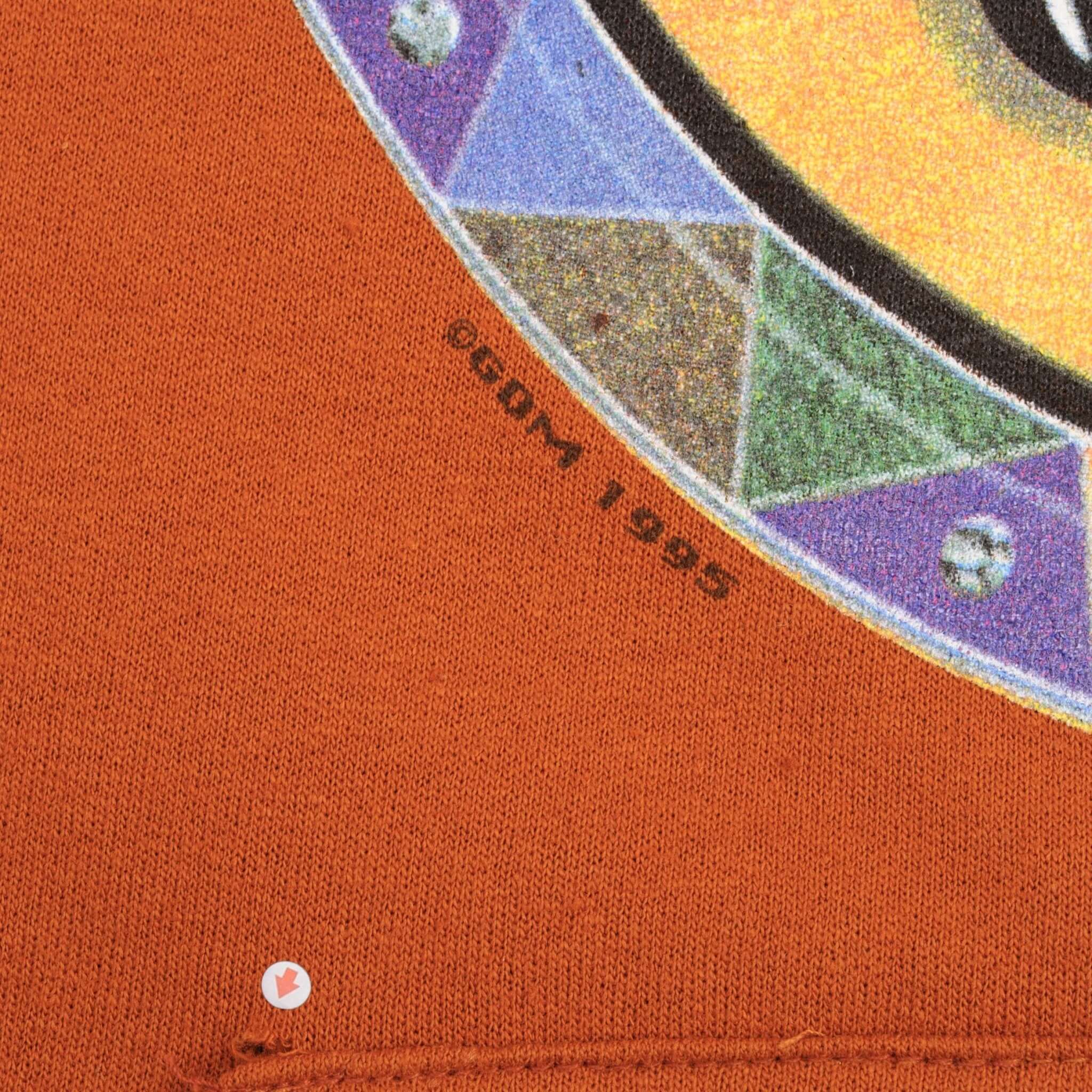 VINTAGE GRATEFUL DEAD SUMMER TOUR 1995 HOODIE SWEATSHIRT SIZE XL