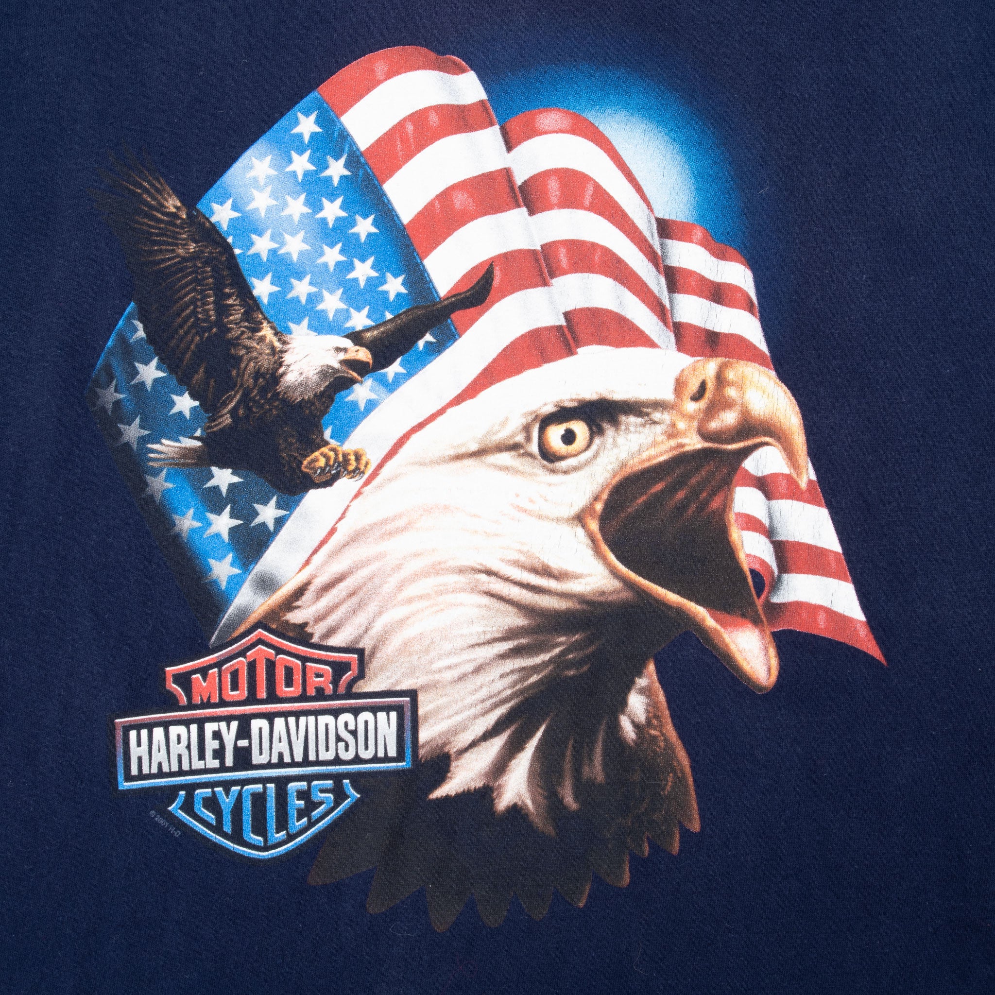 Vintage Harley Davidson Boise Idaho 2001 Tee Shirt Size Large