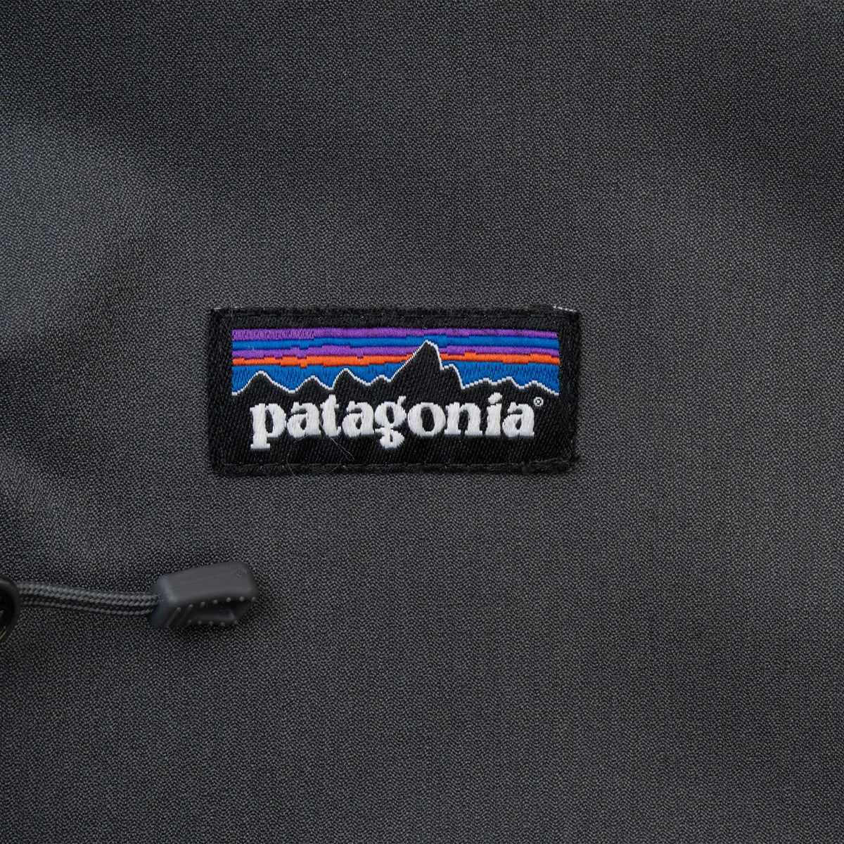 Close-up of Patagonia logo patch on grey parka chest