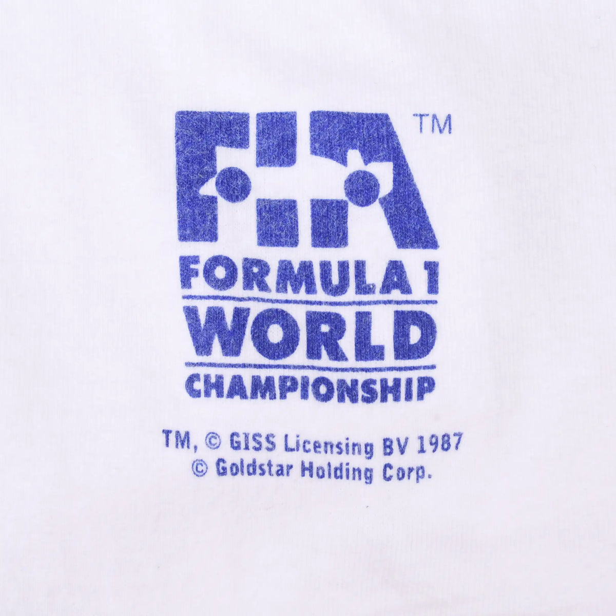 Close-up of blue Formula 1 World Championship sleeve print