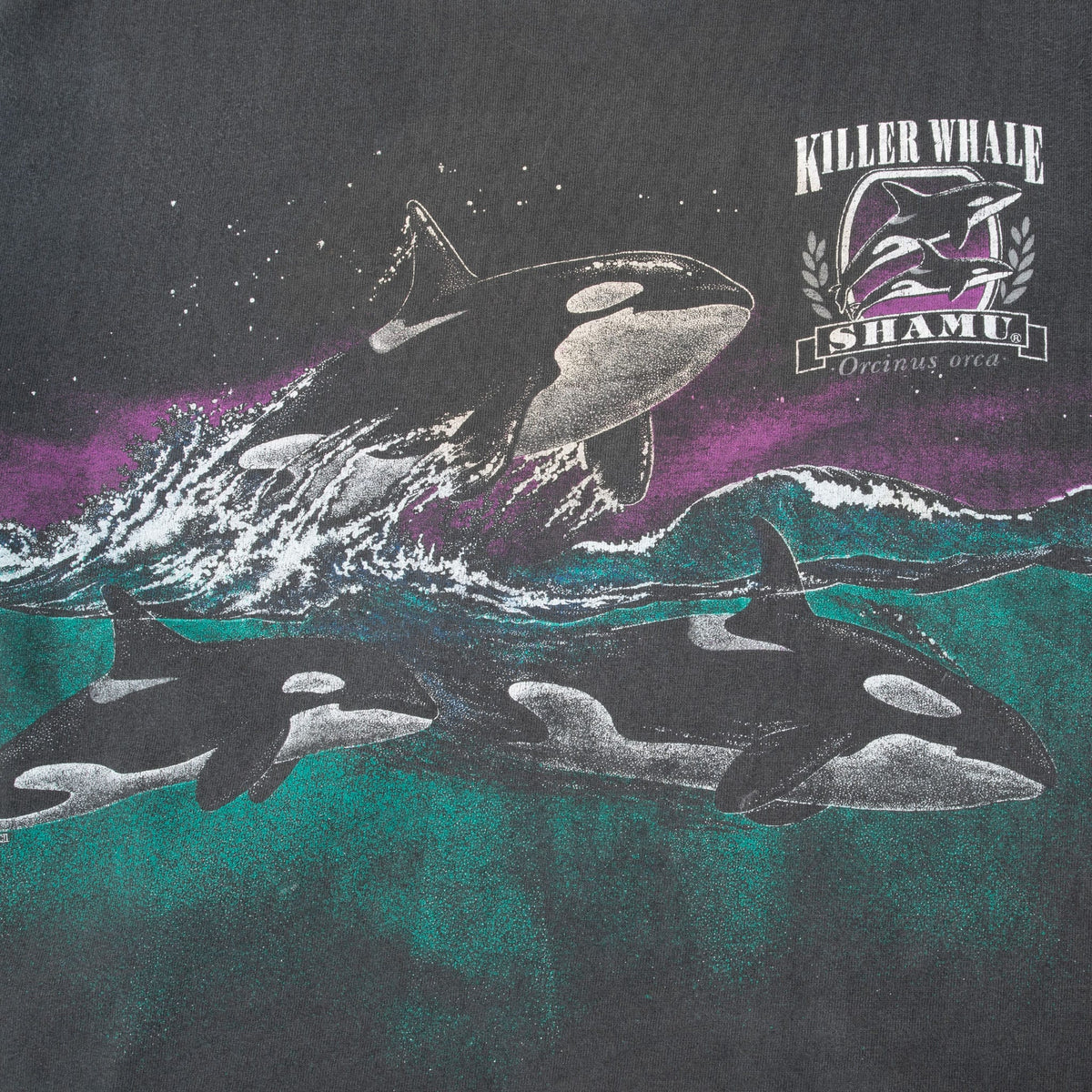 Front graphic detail with three orcas, ocean waves and Killer Whale Shamu emblem