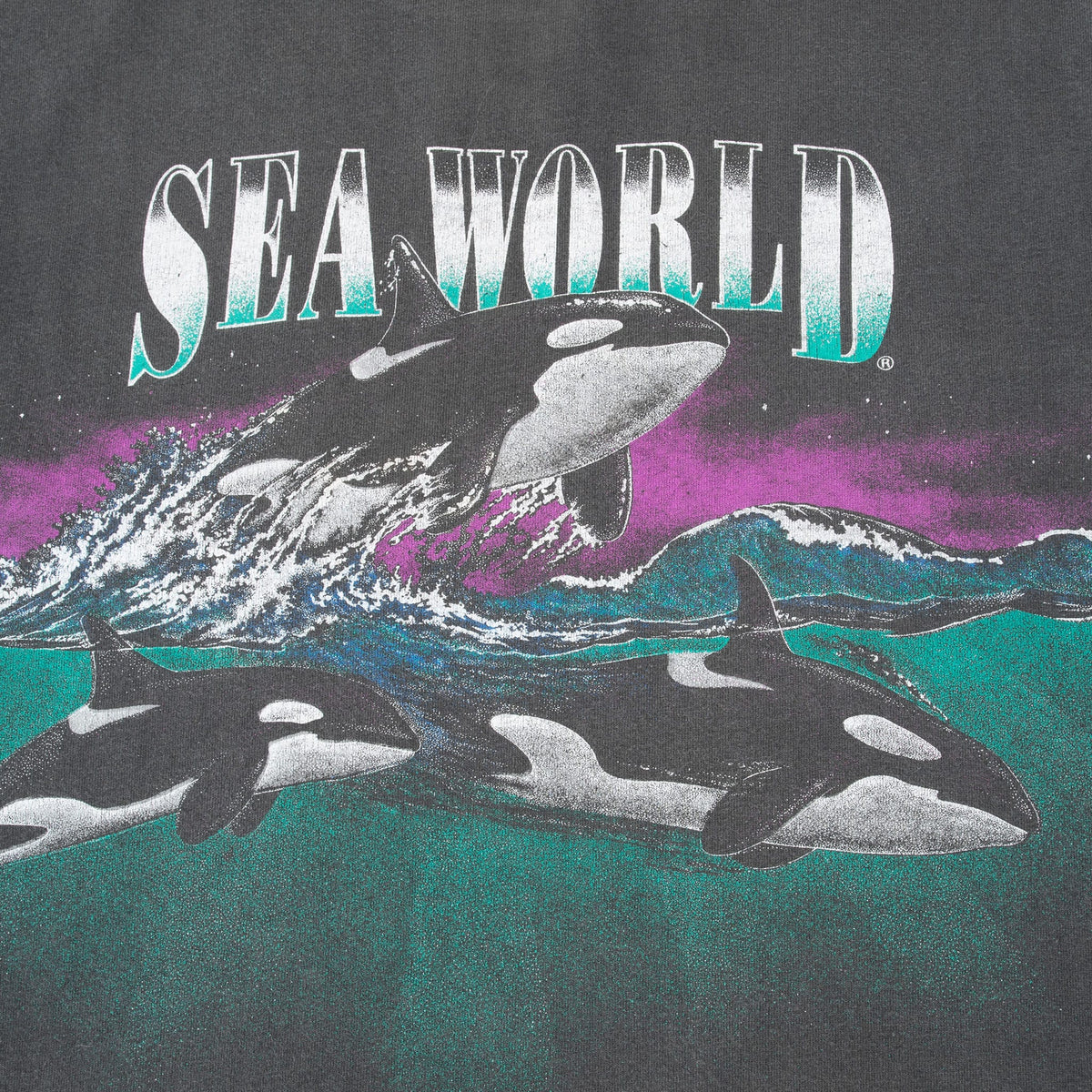 Back graphic detail with large SeaWorld lettering and three orcas in teal ocean waves