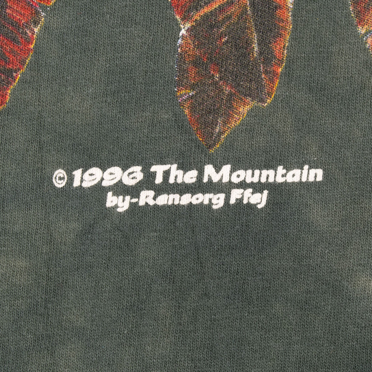Close-up of 1996 The Mountain by Ranong Fij copyright beneath graphic